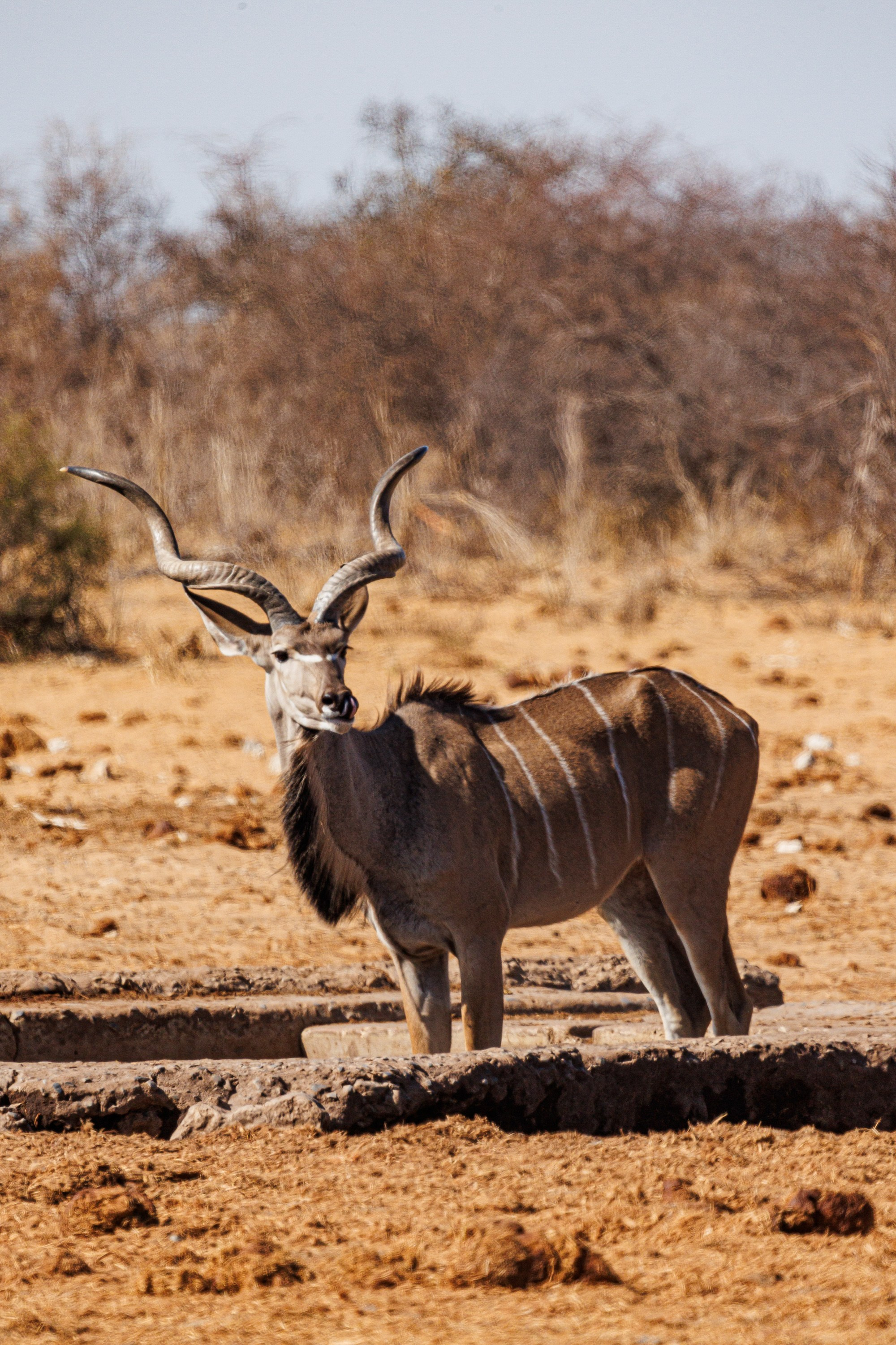НАМИБИЯ. Роадтрип