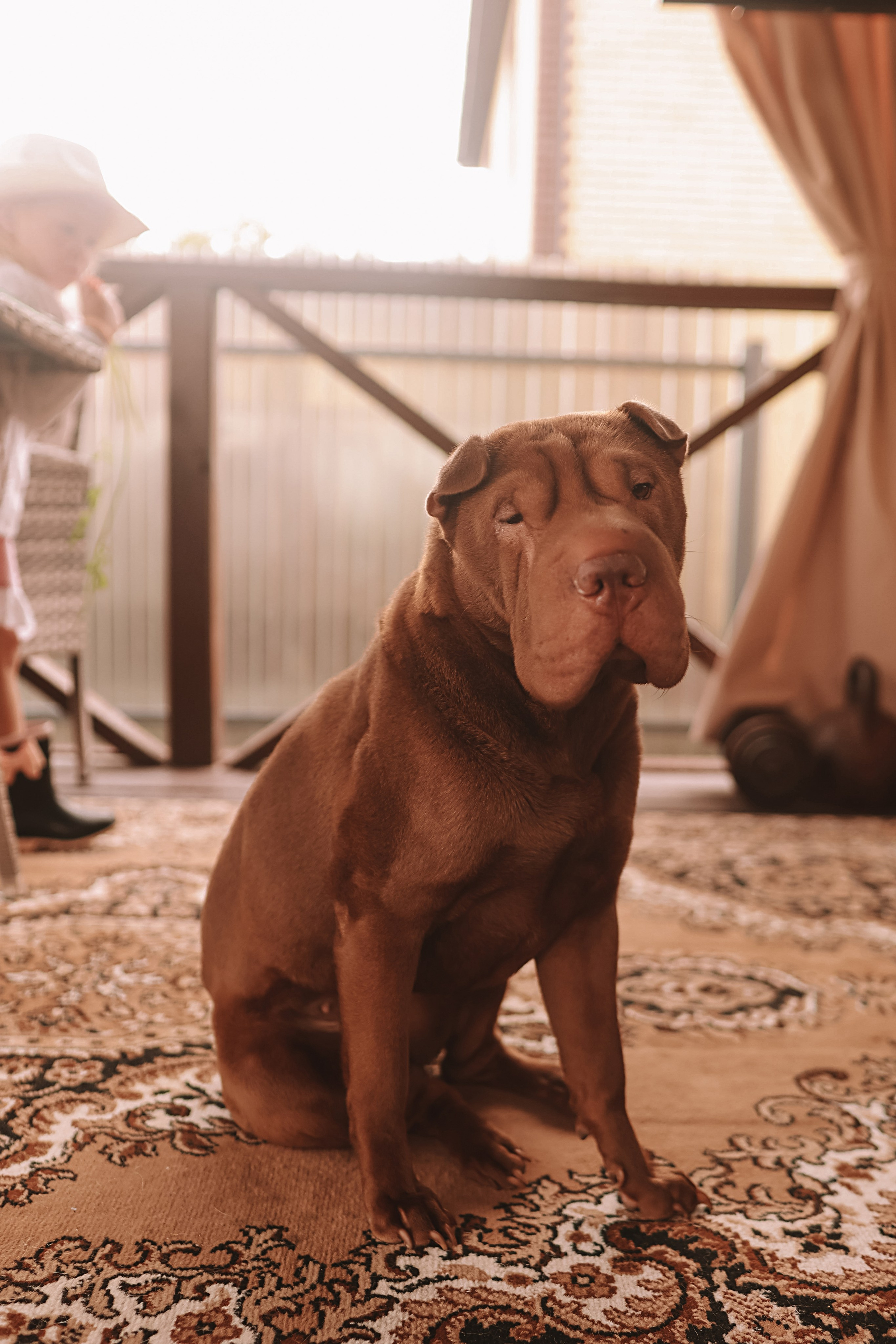 У дома. Семейный фотограф Тюмень, фотограф на роды Салмина Мария
