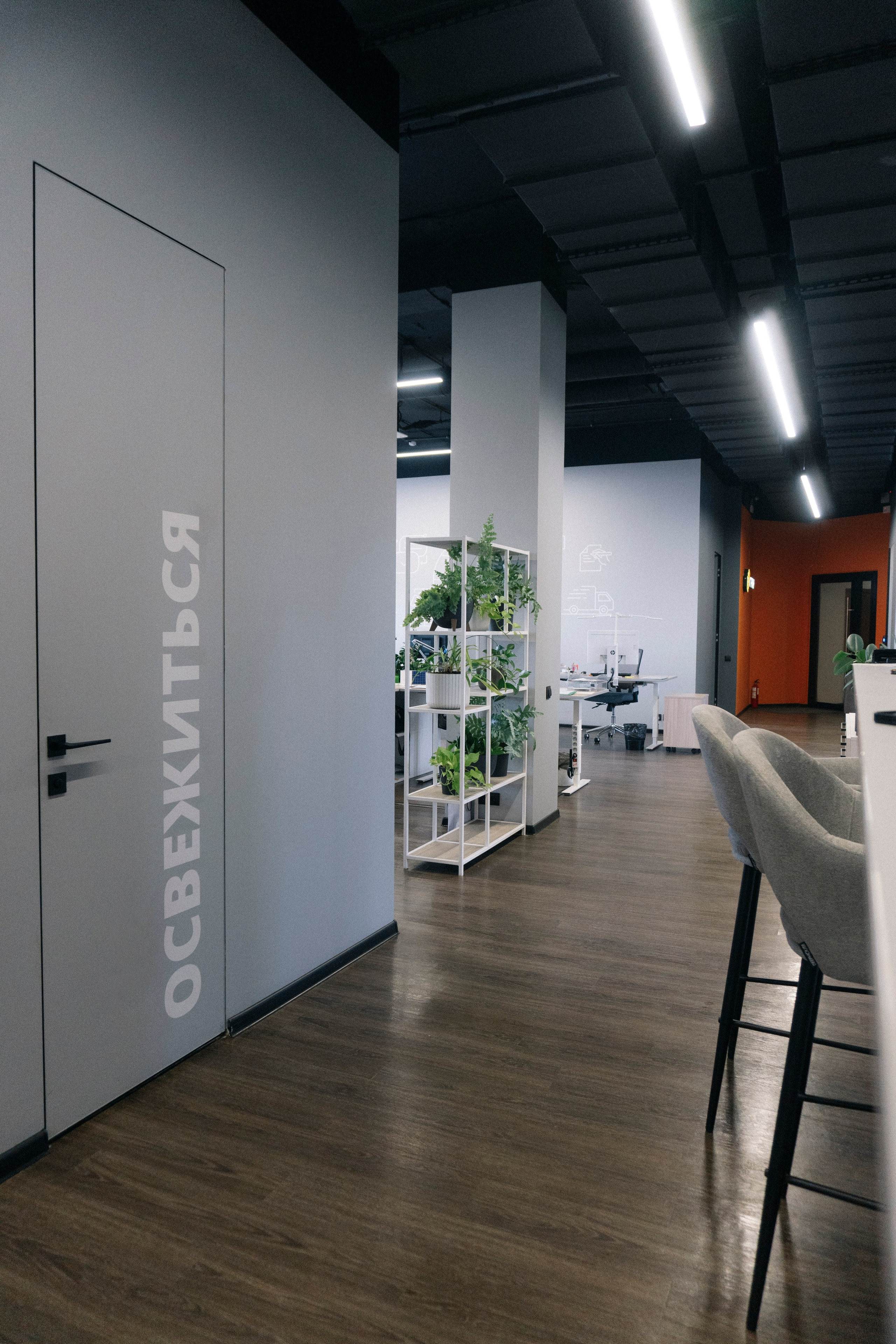 Когда офис — второй Дом. Павлова Евгения