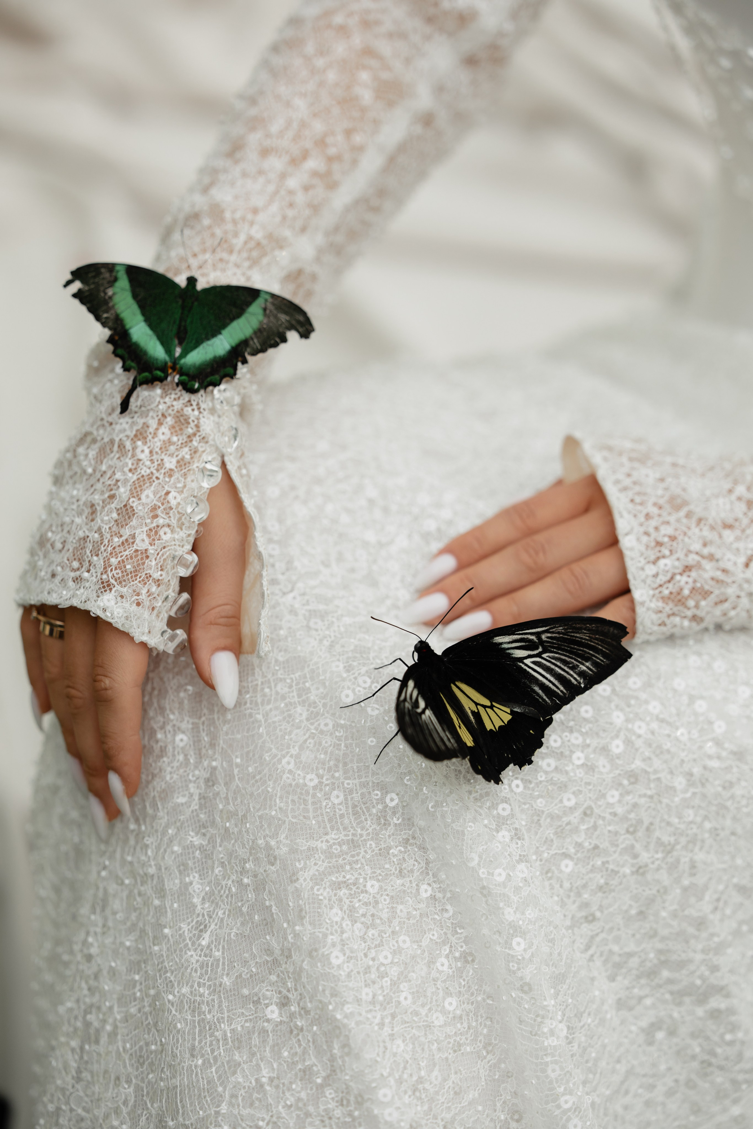 Кирилл & Анастасия. Организатор- Елена Гаманович. Главная