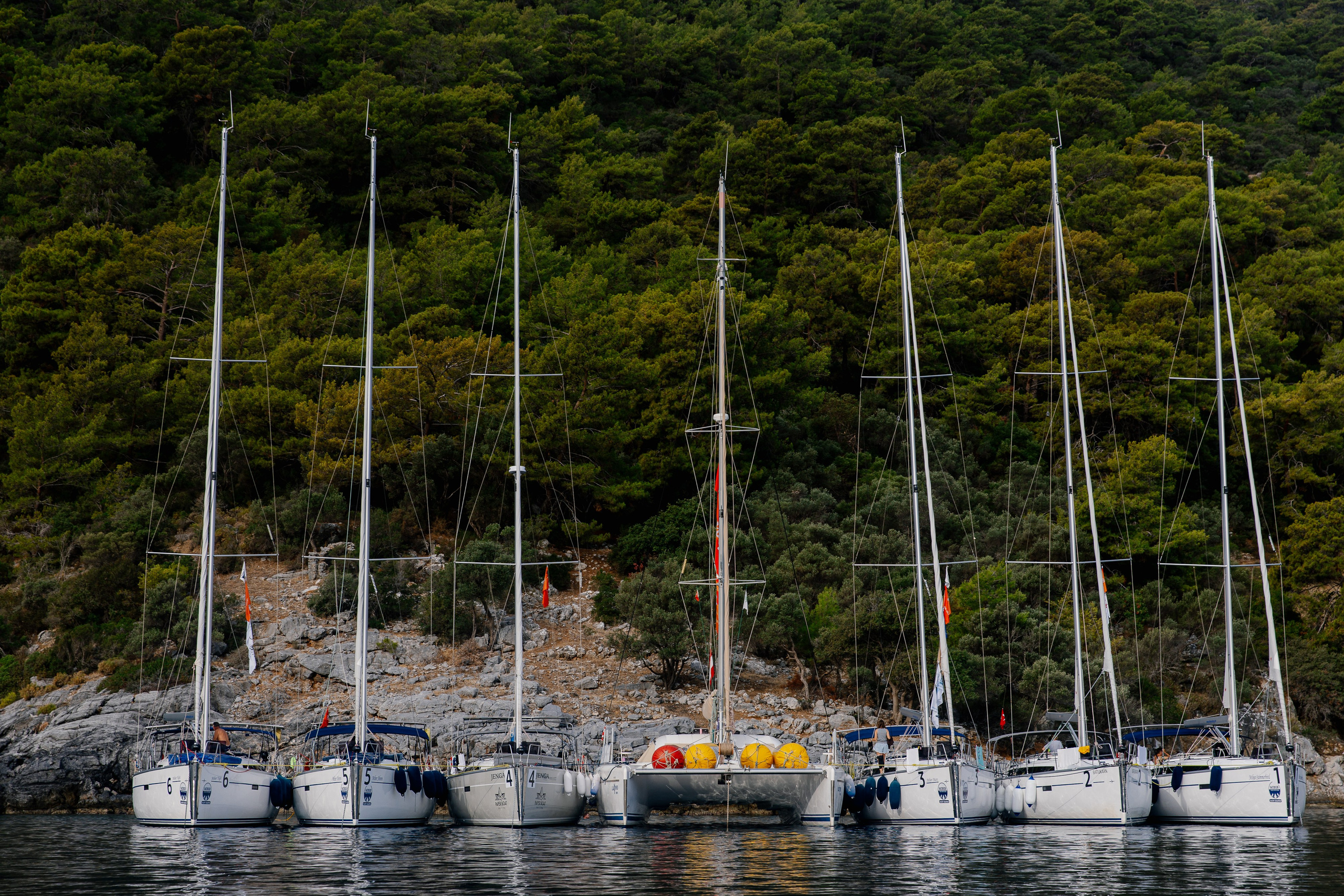 Фармрегата. Свадебный фотограф Москва Анна Шилова
