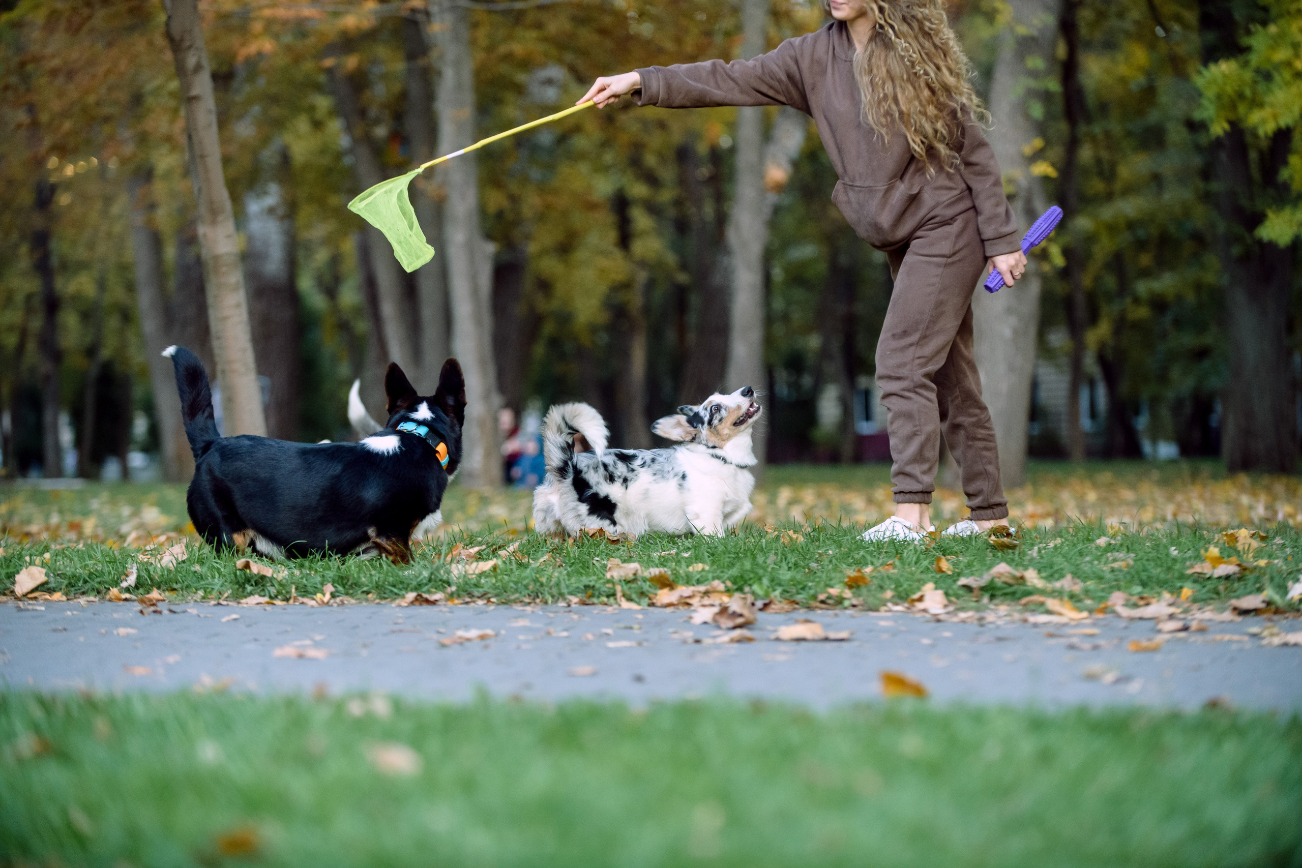 Оля и Ваня с собаками. Фотограф в Ростове-на-Дону Маркер Елена