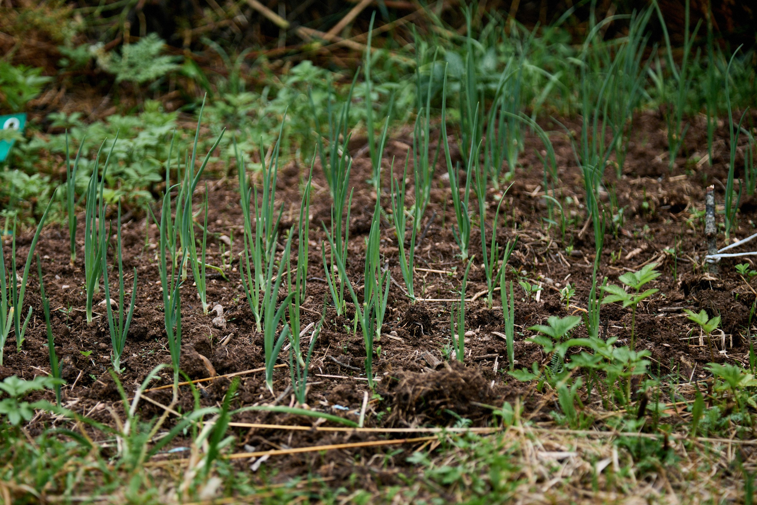 Летняя археологическая школа. Семейный Lifestyle фотограф в Санкт-Петербурге Марина Бокшицкая