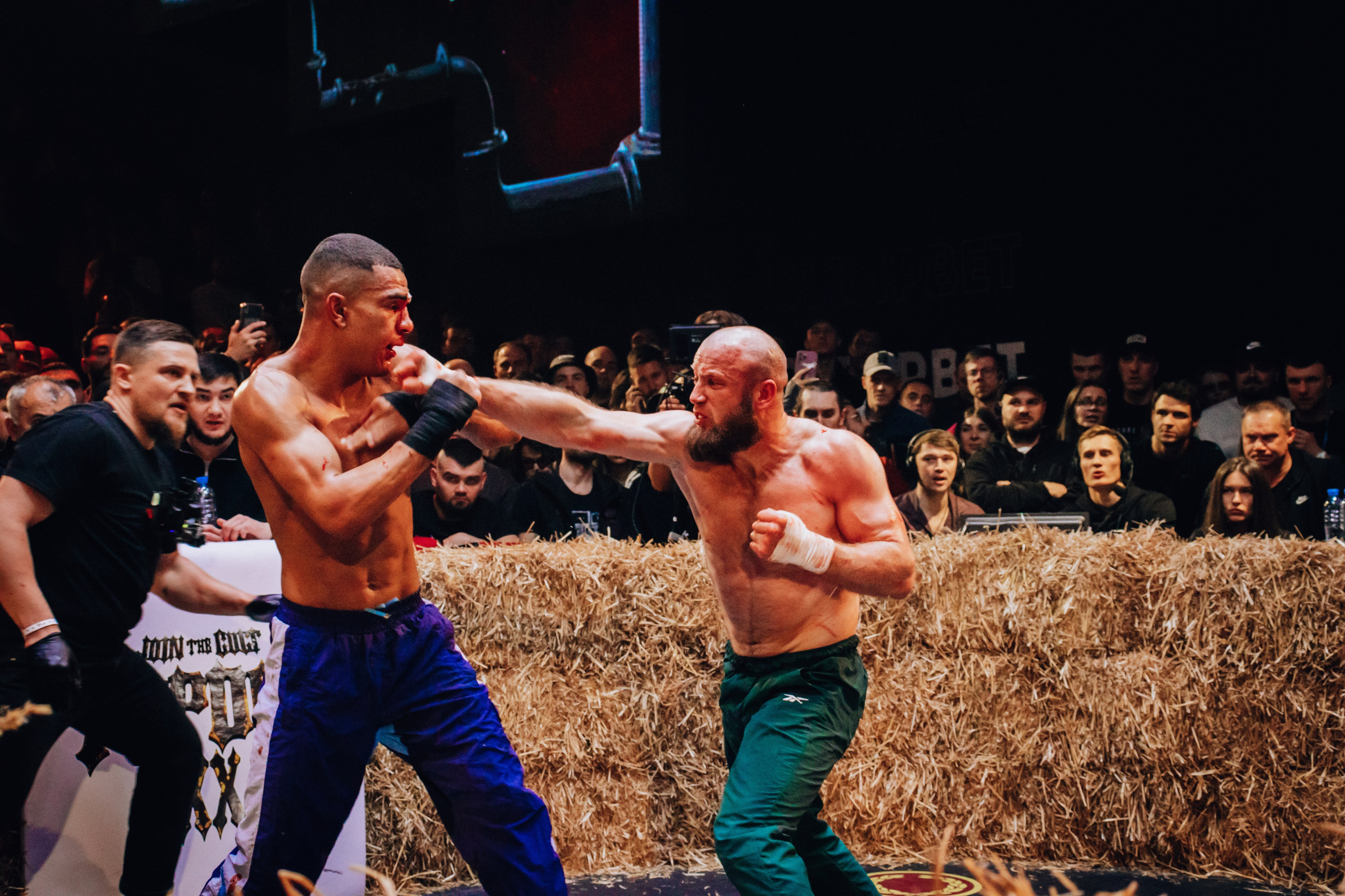 Кулачные бои TopDog. Анастасия Тен