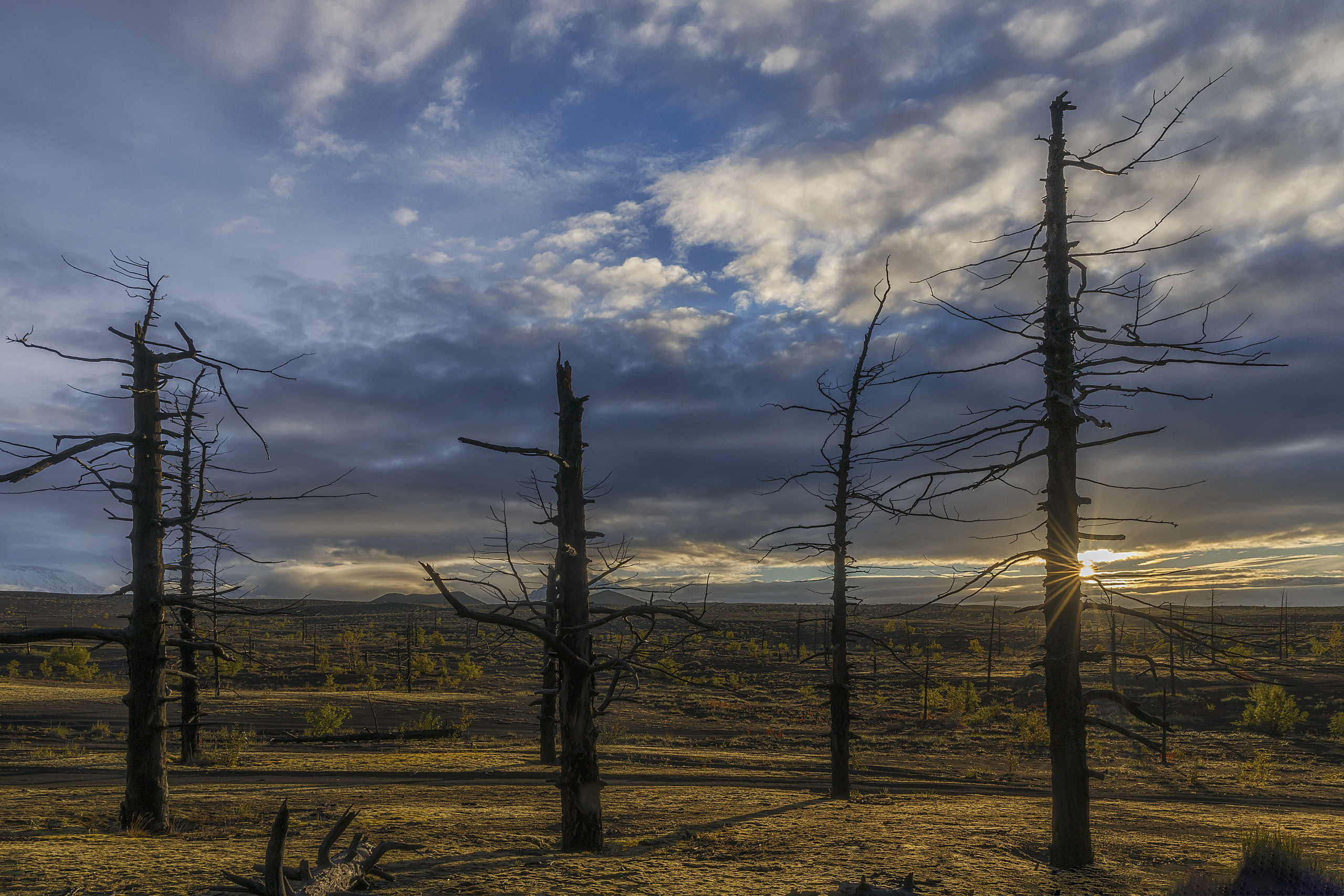 Камчатка. Портретный фотограф в Челябинске Катерина Руди