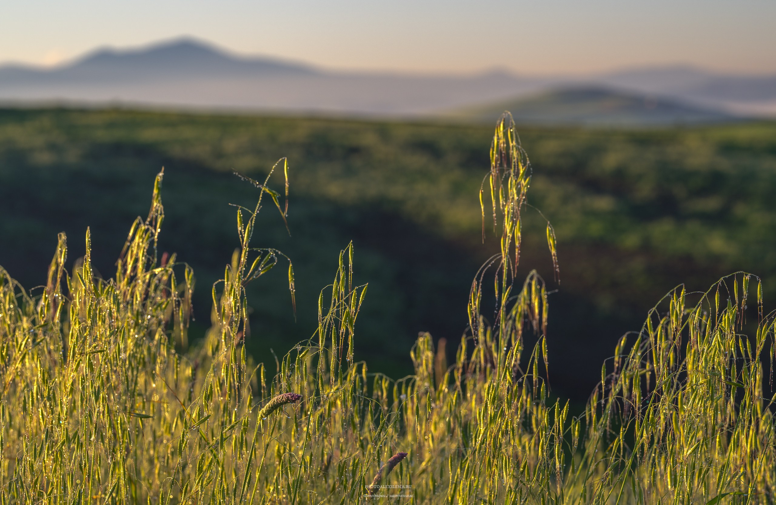 Волшебное утро в Тоскане. Авторские стильные фотокартины