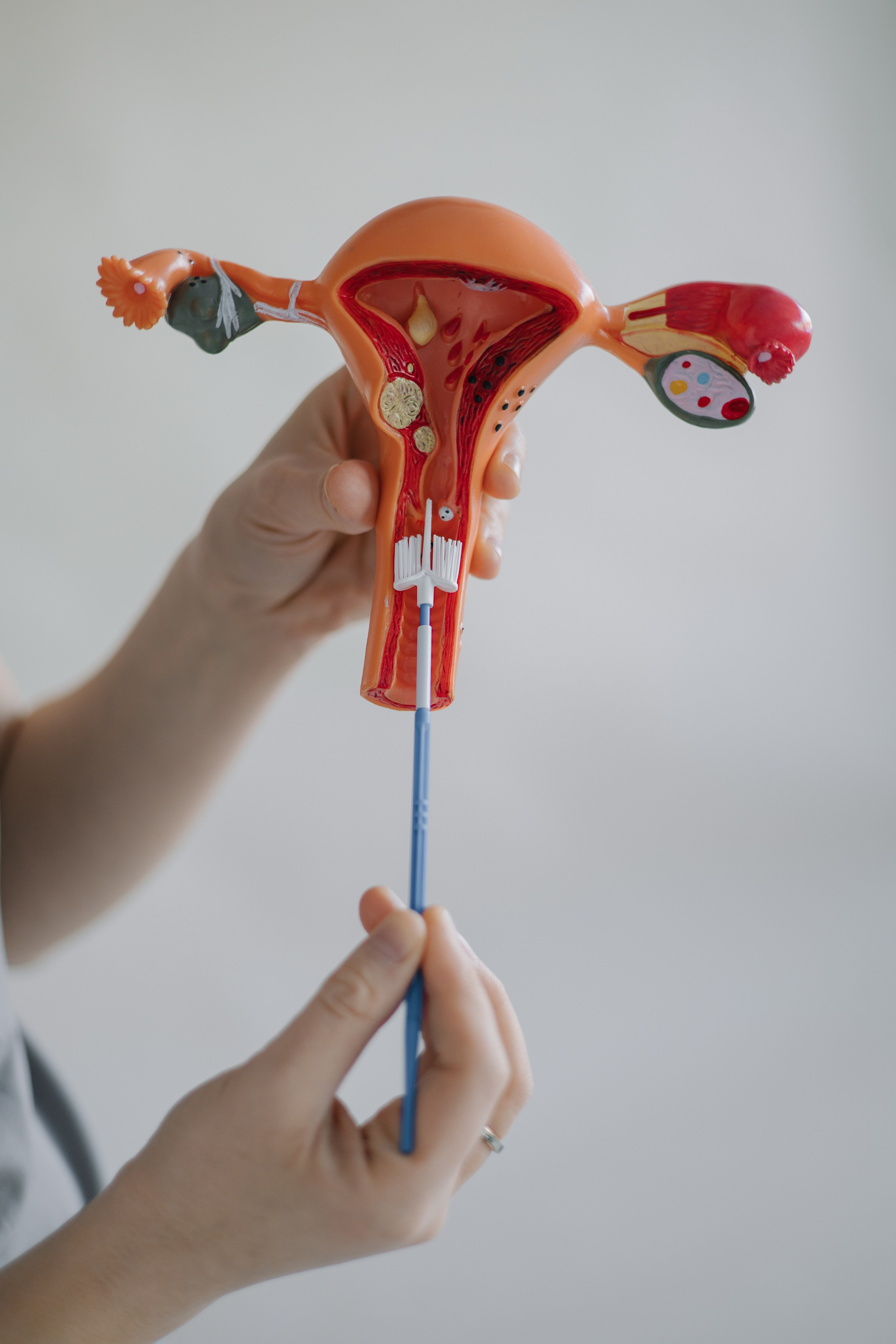 Для гинеколога