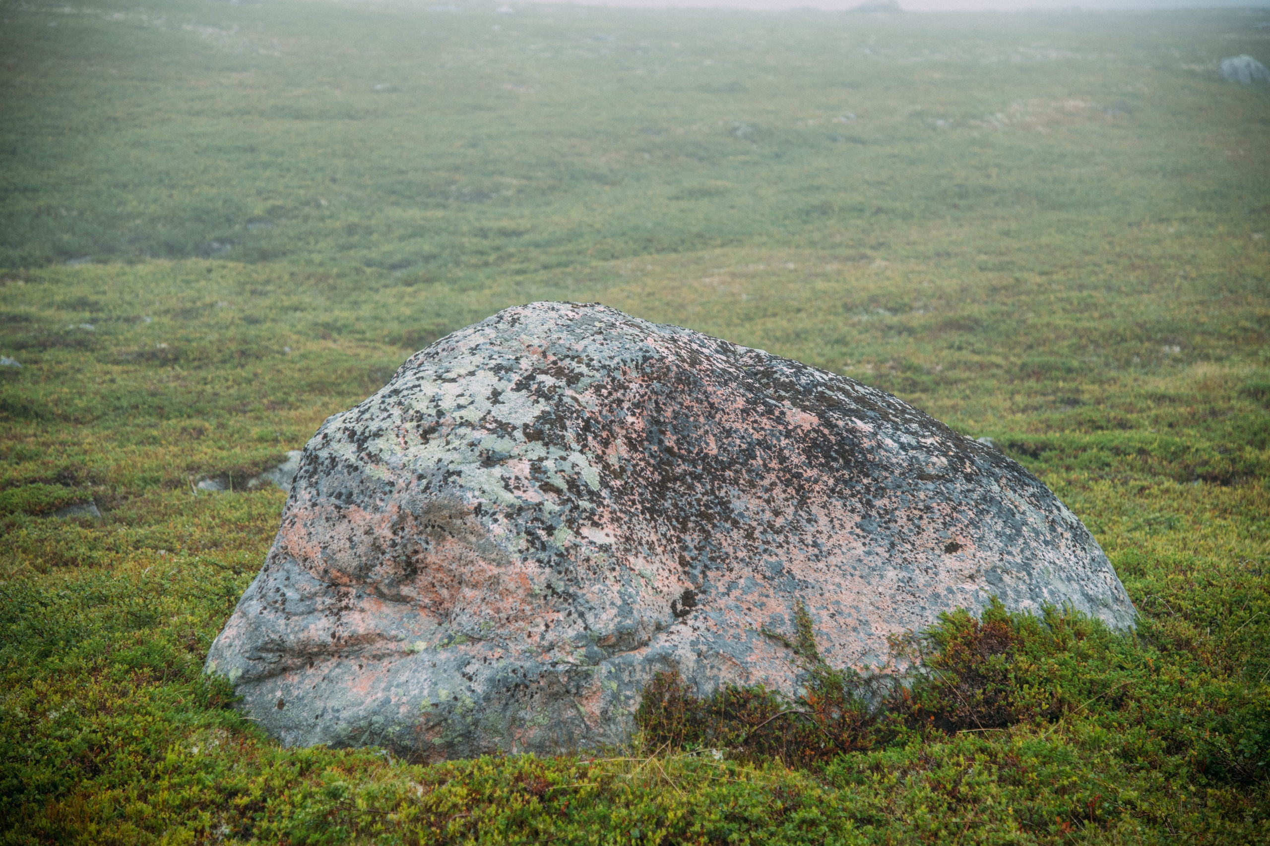 Кольский полуостров. Фотографирую для себя, своей семьи и друзей!