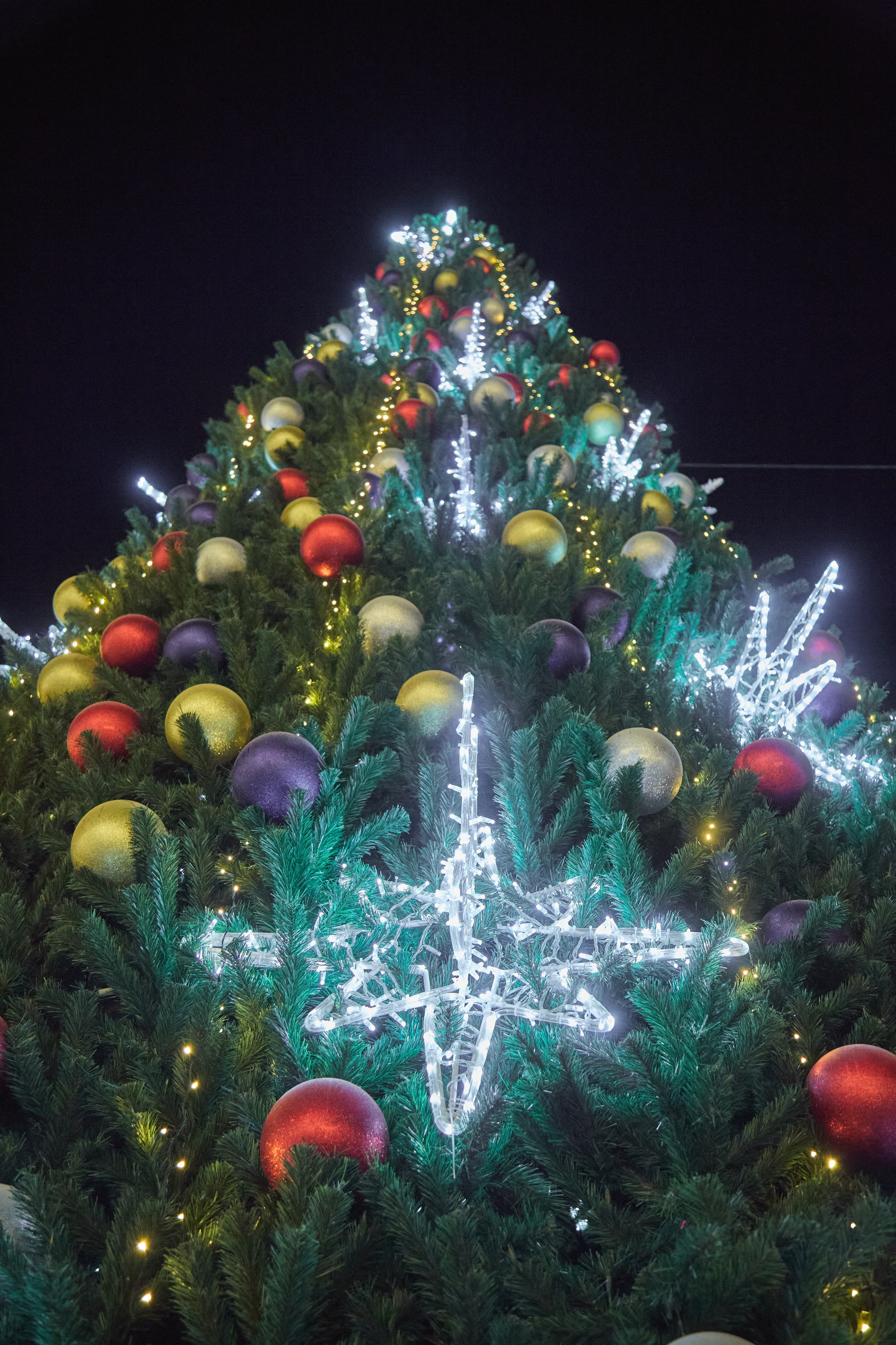 Новогодний Омск 2025. Фотограф Омск | Александр Вандеров