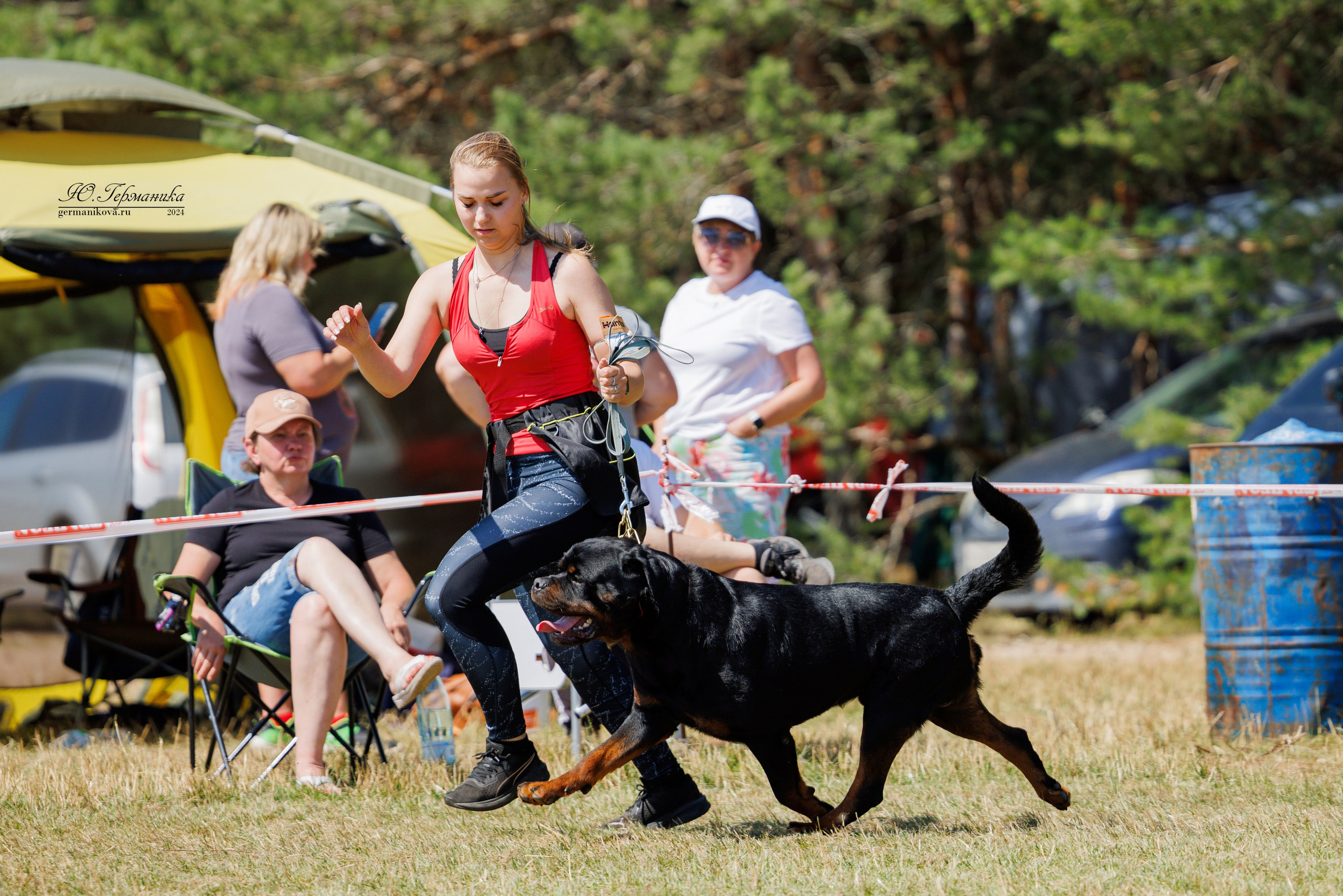 ПК и КЧК ротвейлеры Тверь 6-7.07.2024. Фотограф-анималист Юлия Германика
