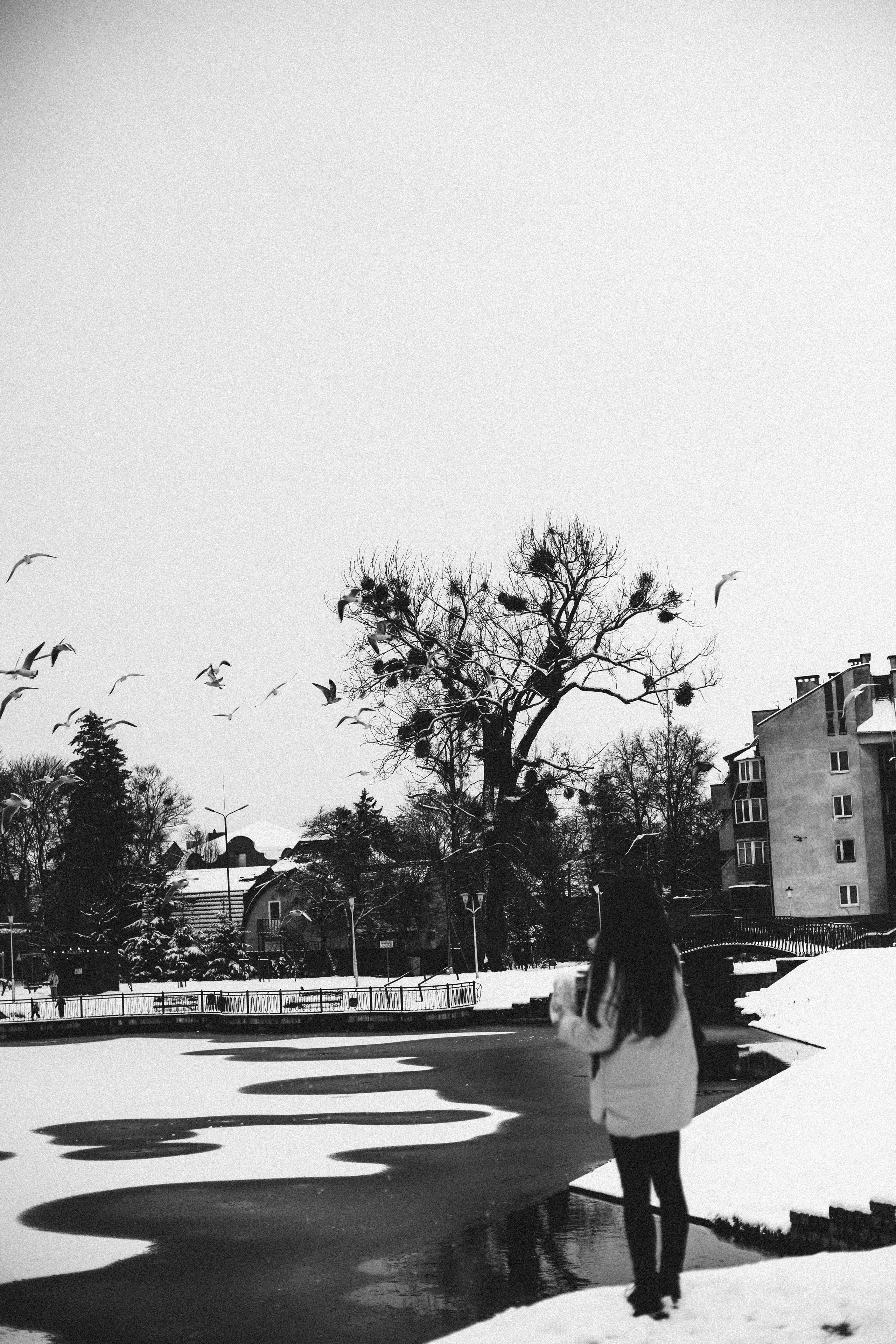 Марита. Зимняя съемка. Семейный фотограф в Калининграде Анастасия Юрина