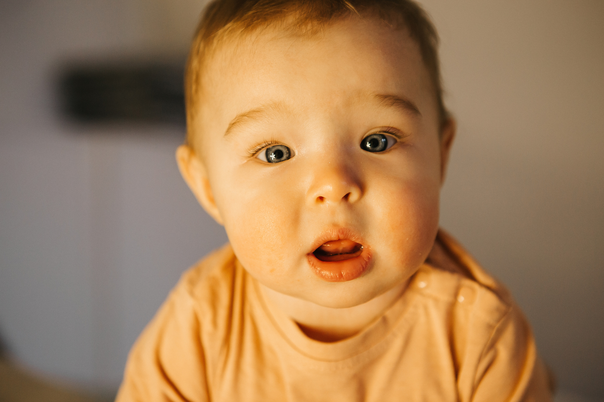 Лена и Карине. Новогодняя съемка. Семейный фотограф в Калининграде Анастасия Юрина