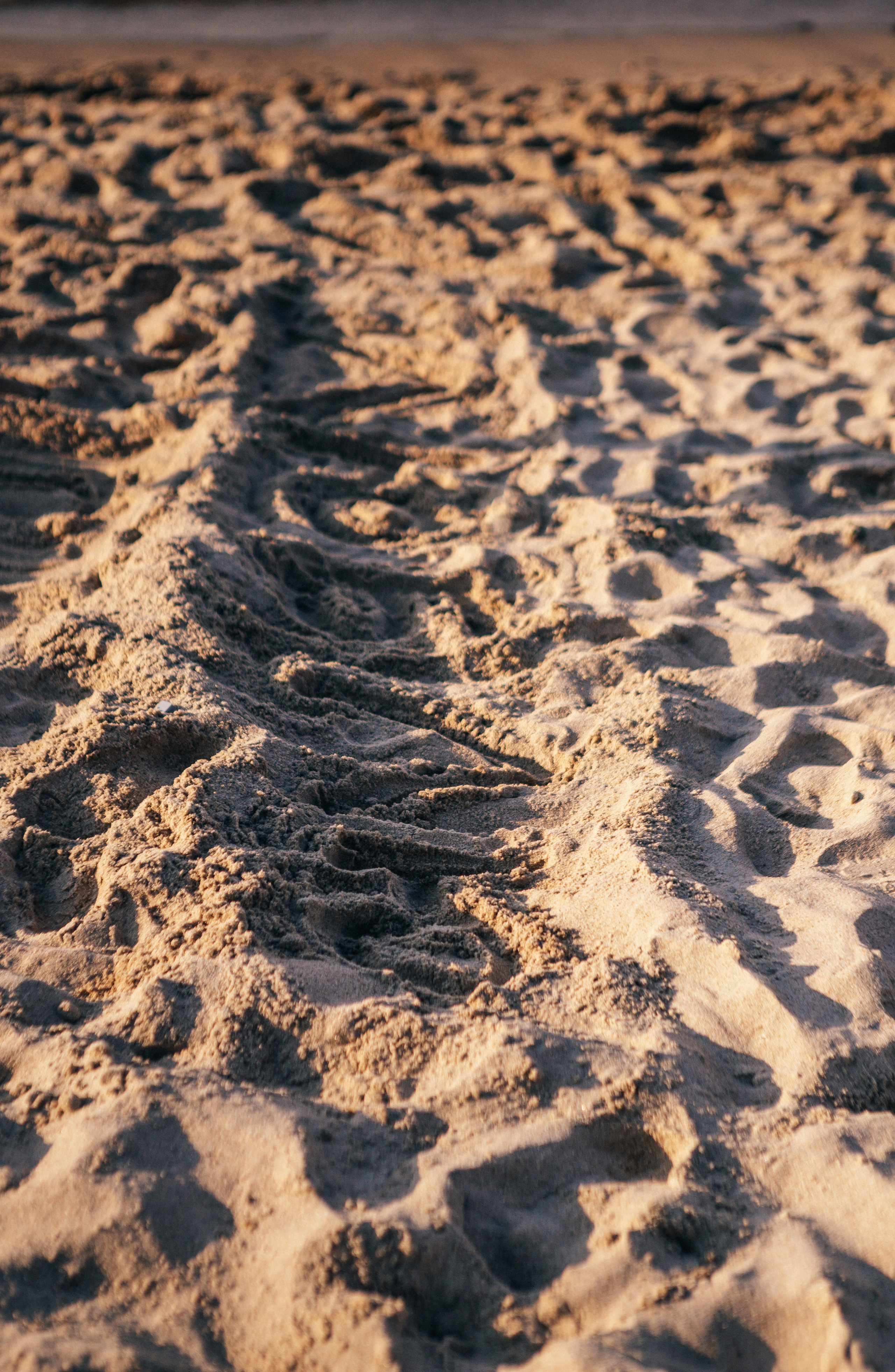Юлия и Валерий. Фотосессия на море. Семейный фотограф в Калининграде Анастасия Юрина