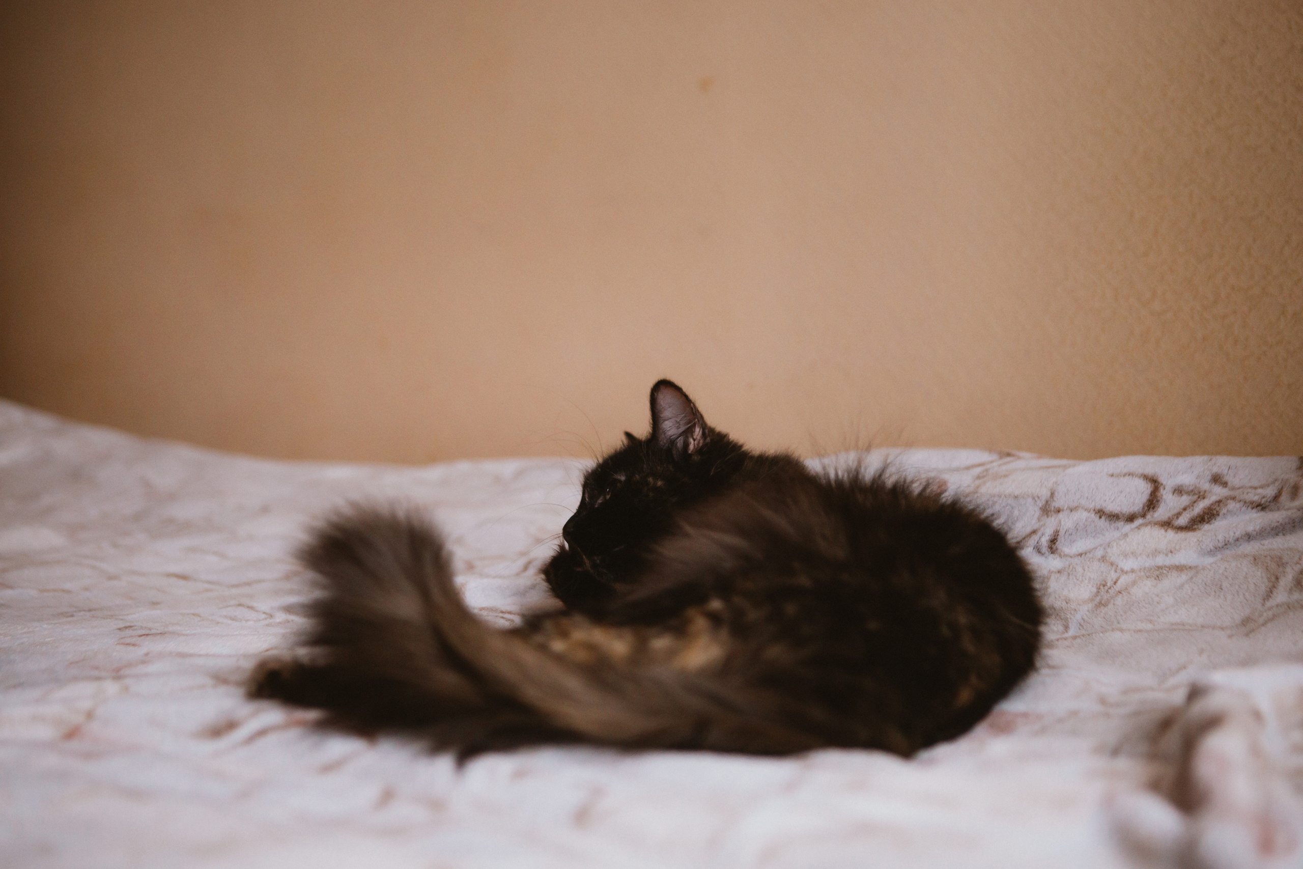 Настя и Ульяна. Домашняя фотосессия мамы и дочки. Семейный фотограф в Калининграде Анастасия Юрина