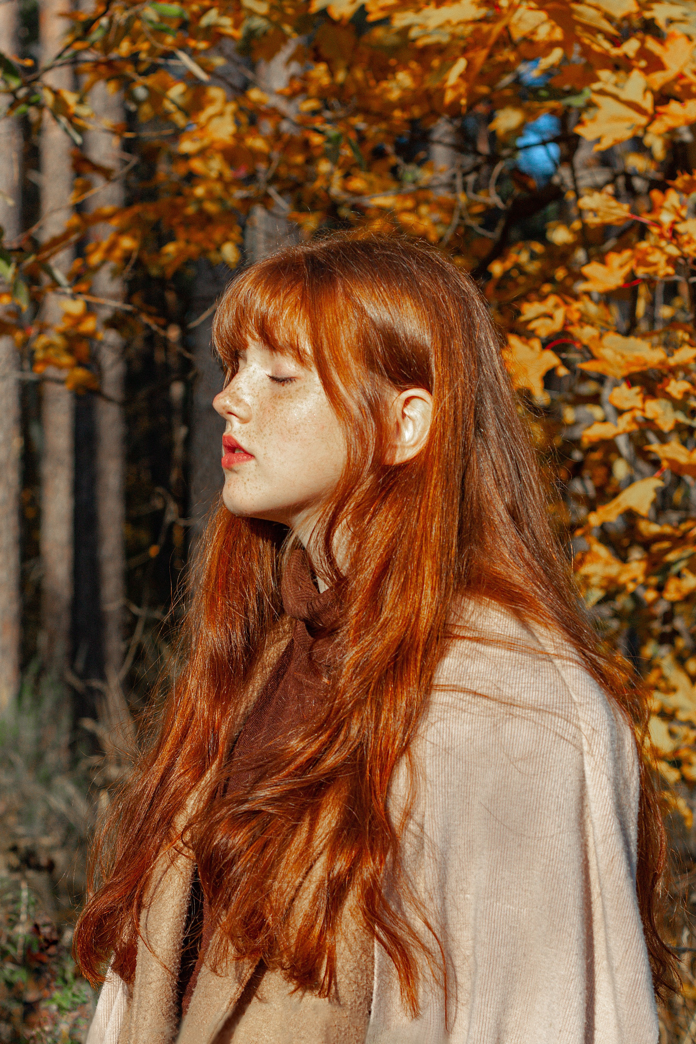 Портрет рыжей девушки, повернутой в профиль. 