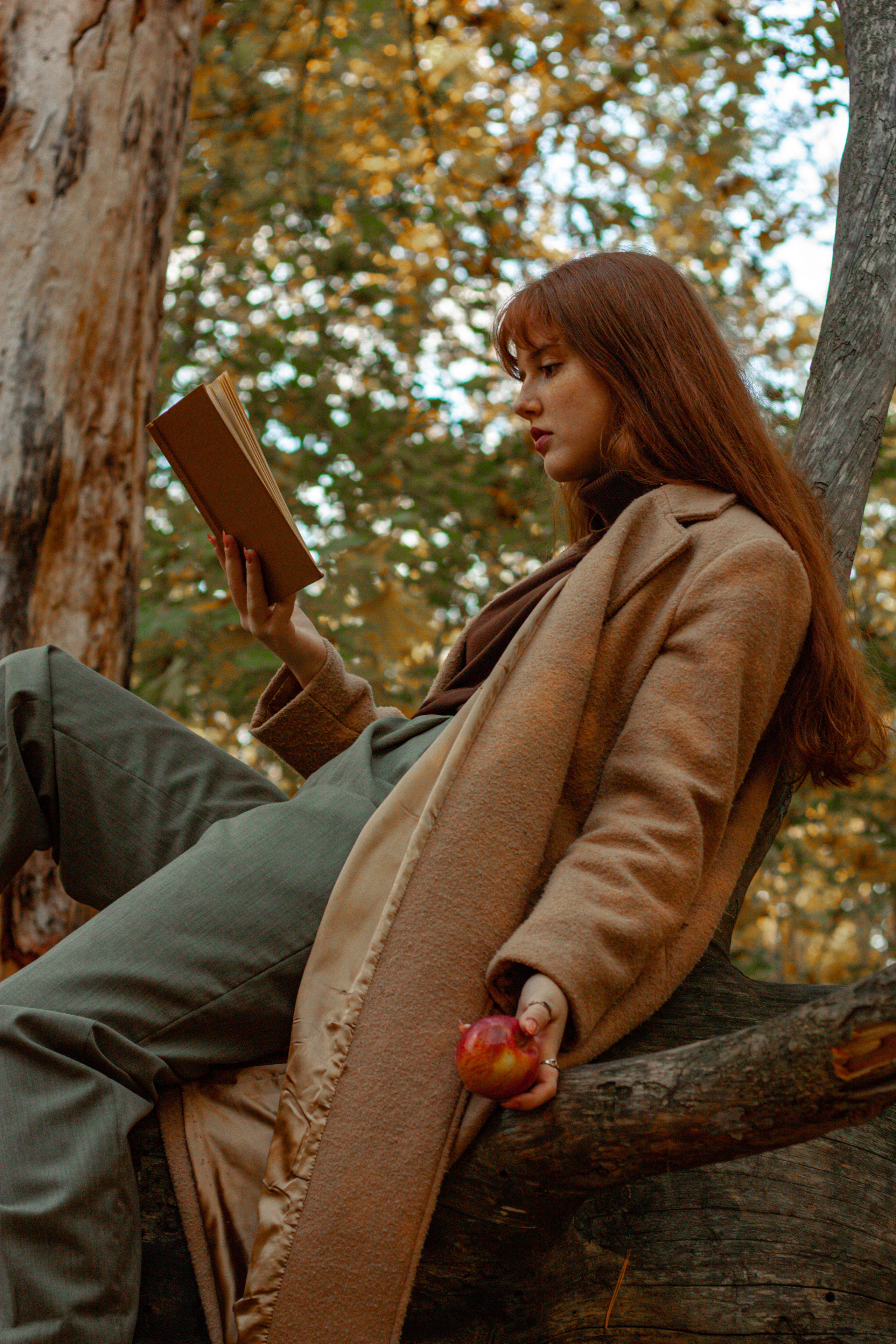 Девушка сидит на дереве, читает книгу и ест яблоко. 