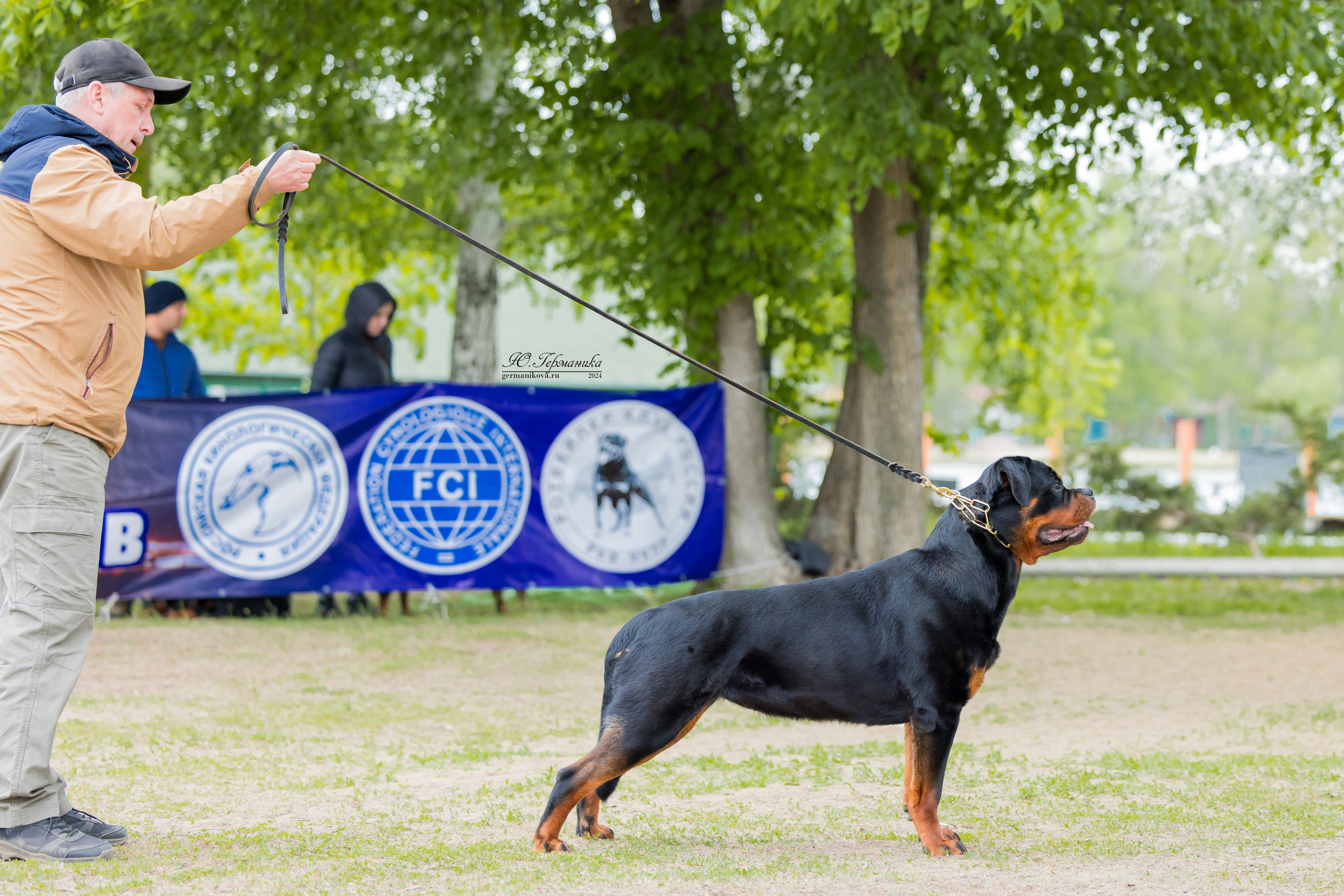 Саратов 2 х моно ротвейлеров 28-29.04.2024. Фотограф-анималист Юлия Германика
