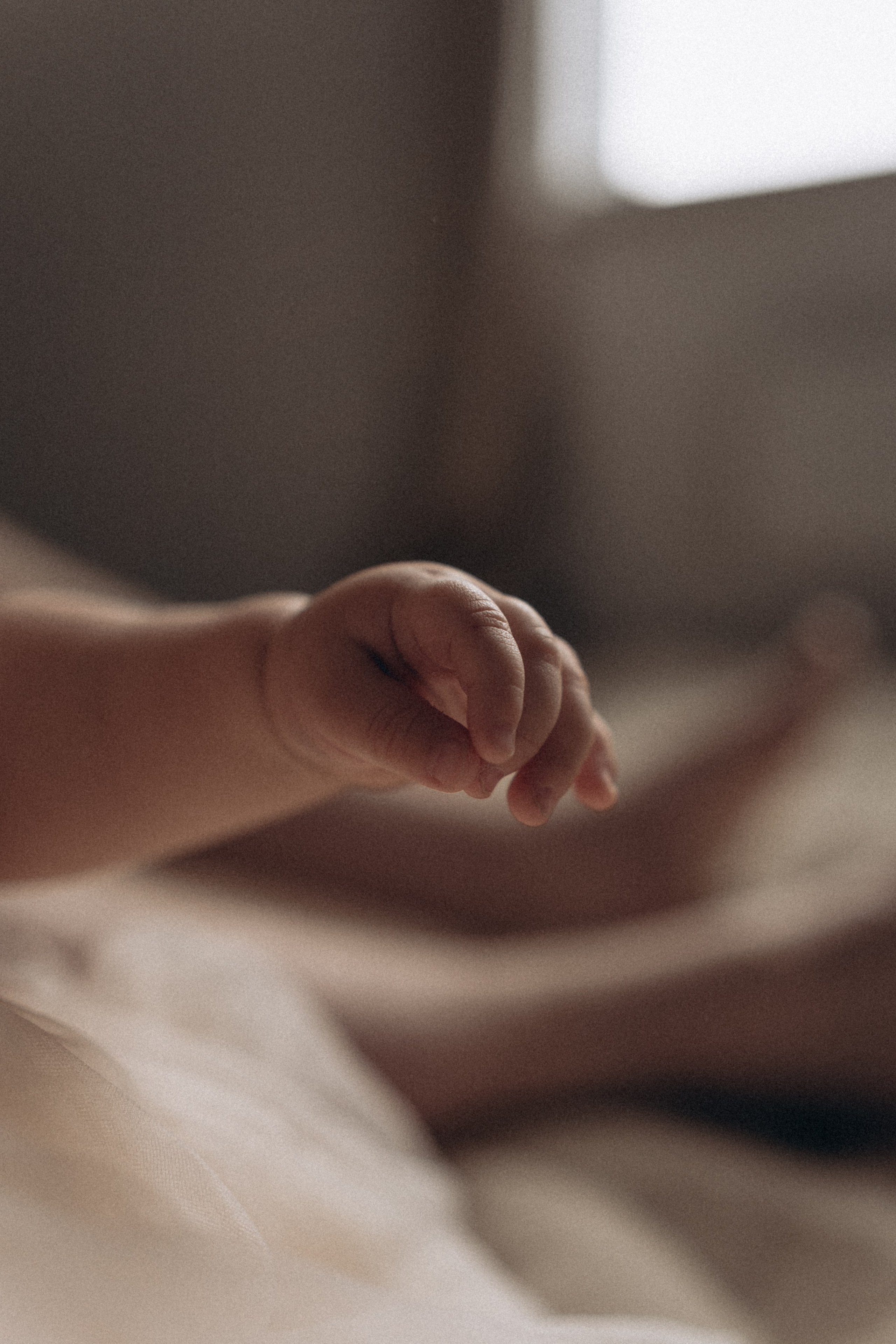 Годик Эмилии. Семейный и домашний фотограф в Уфе Ирина Гарасюта