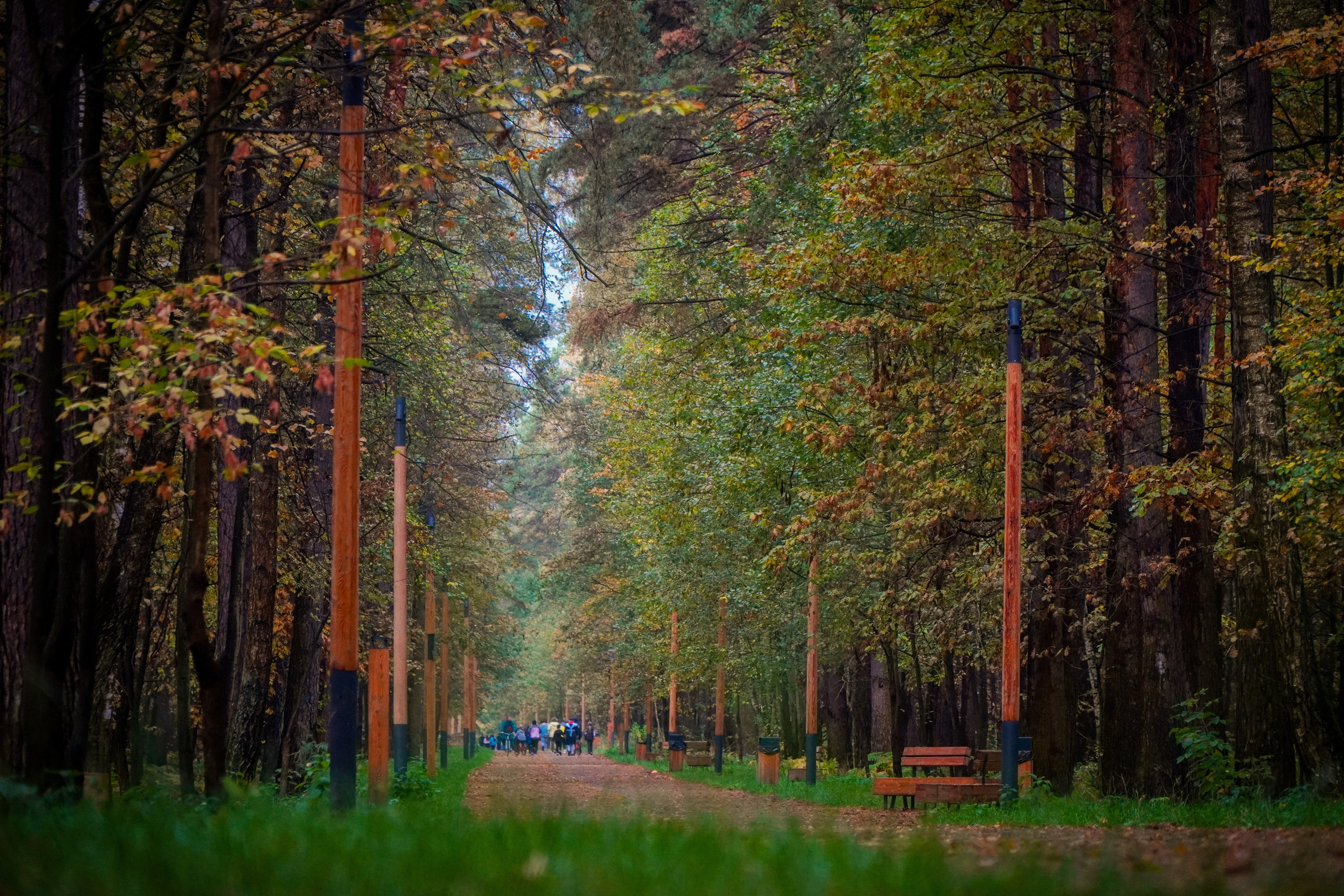 100-й забег 5 вёрст Томилинский. Роман Капилюшов. Бег. Фото. Видео. г. Люберцы