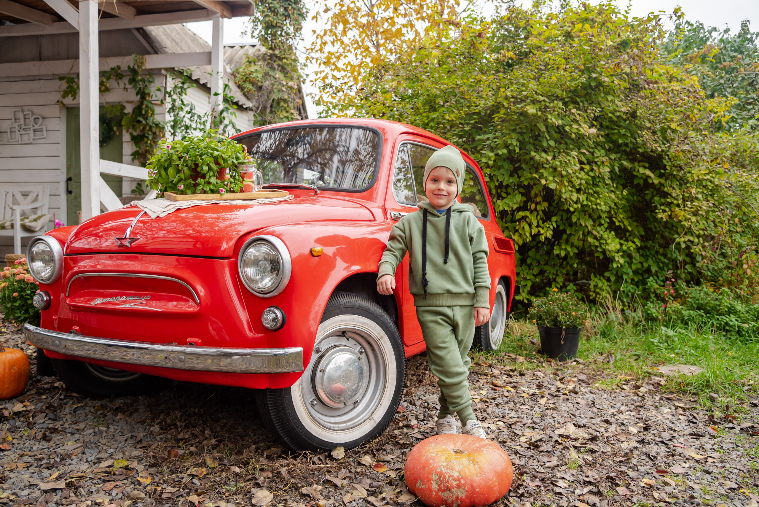 Авакадо. Фотограф Галина Нестерова
