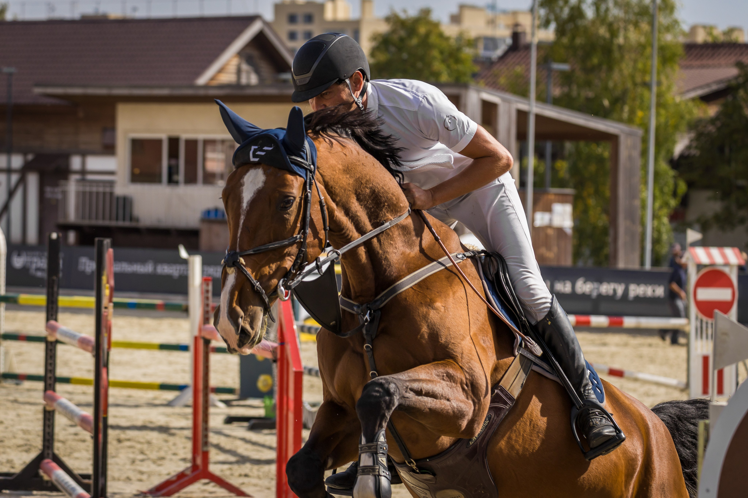 Конный спорт. Photomantis