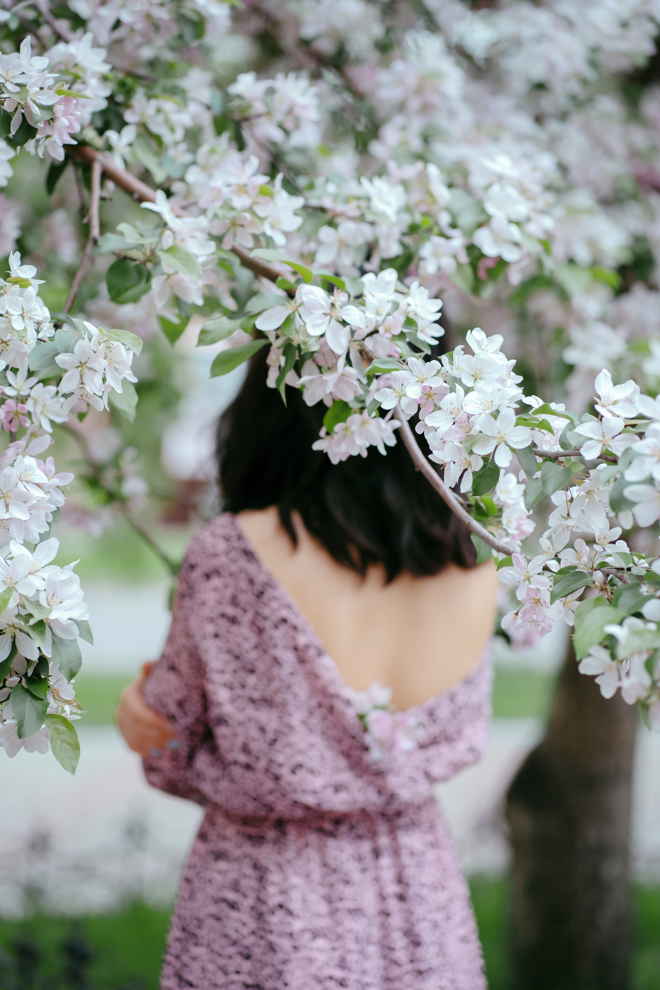 Фотосессия в цветущем саду. Фотограф Ким Наталья в Красноярске