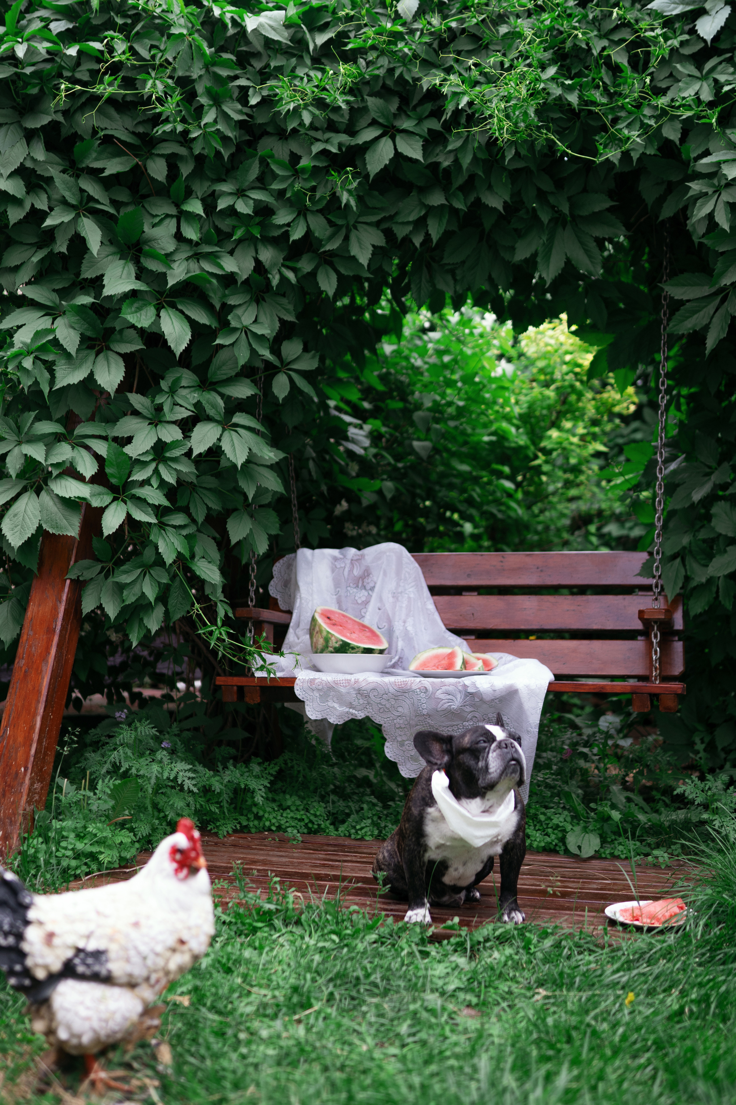 Фотосессии с животными. Фотограф Ким Наталья в Красноярске