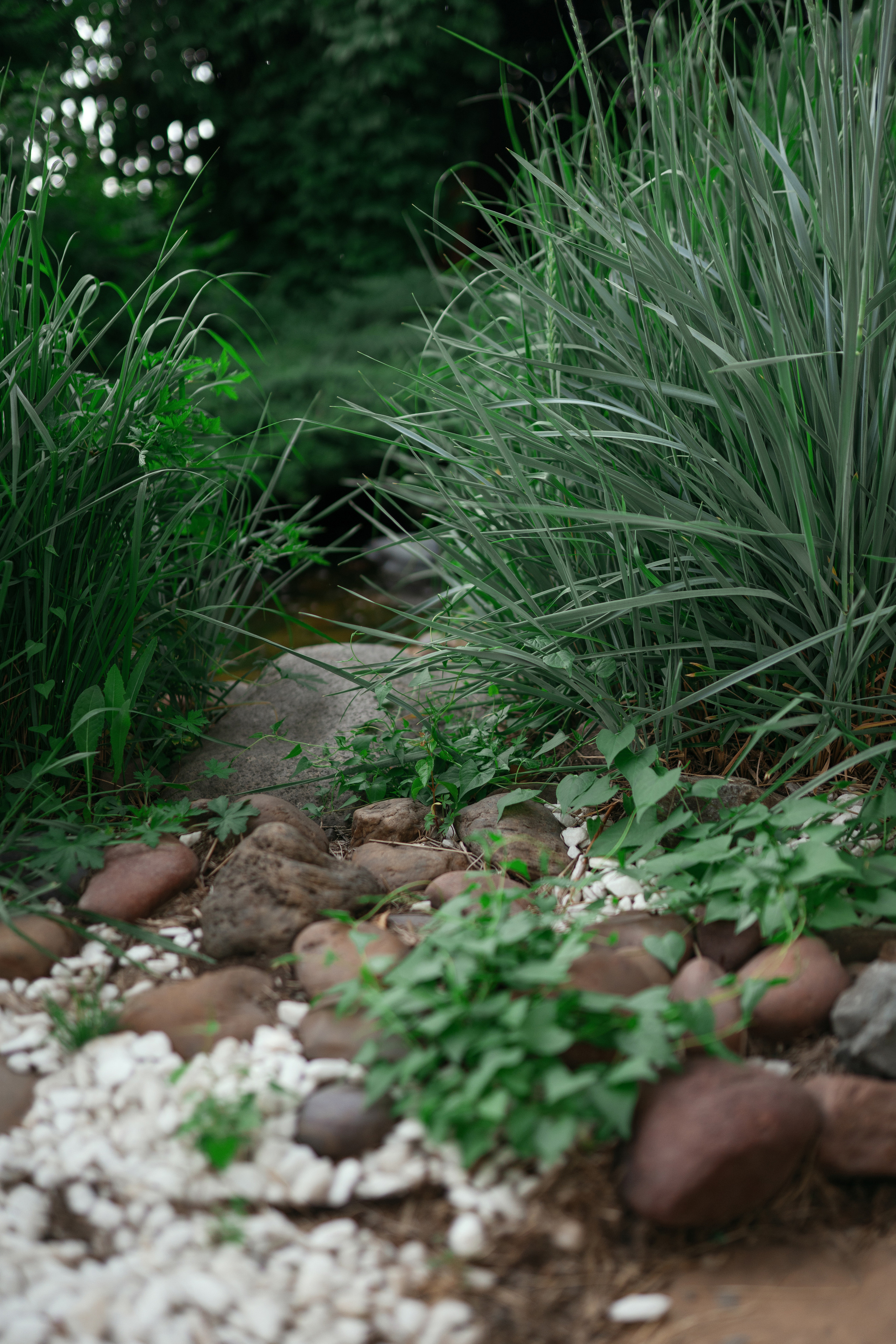 Фотосессии с животными. Фотограф Ким Наталья в Красноярске