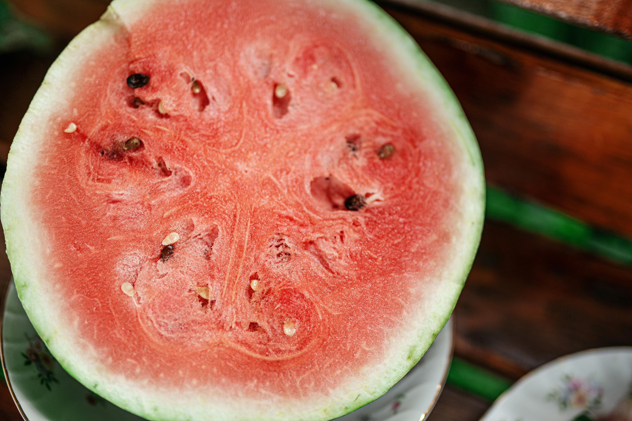 Фотосессии с животными. Фотограф Ким Наталья в Красноярске