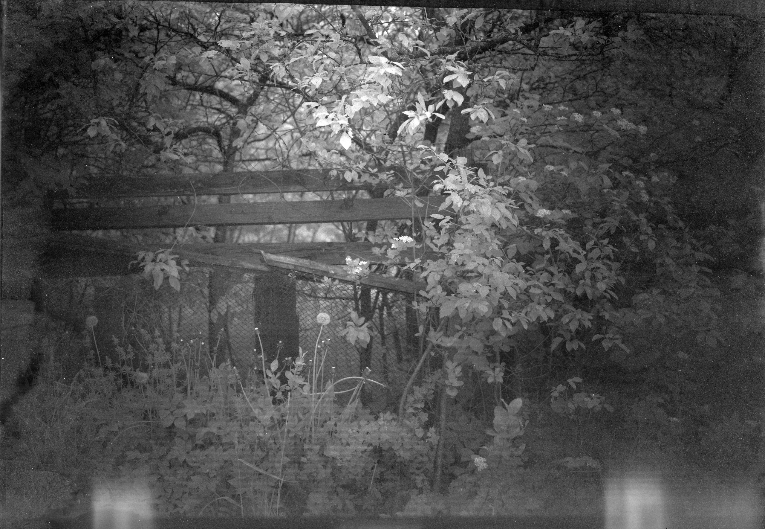 Хроно-камера «Буратино». Roman Hodirev is an esoteriologist, multidisciplinary artist, photographer and musician. Saint Petersburg, Riga