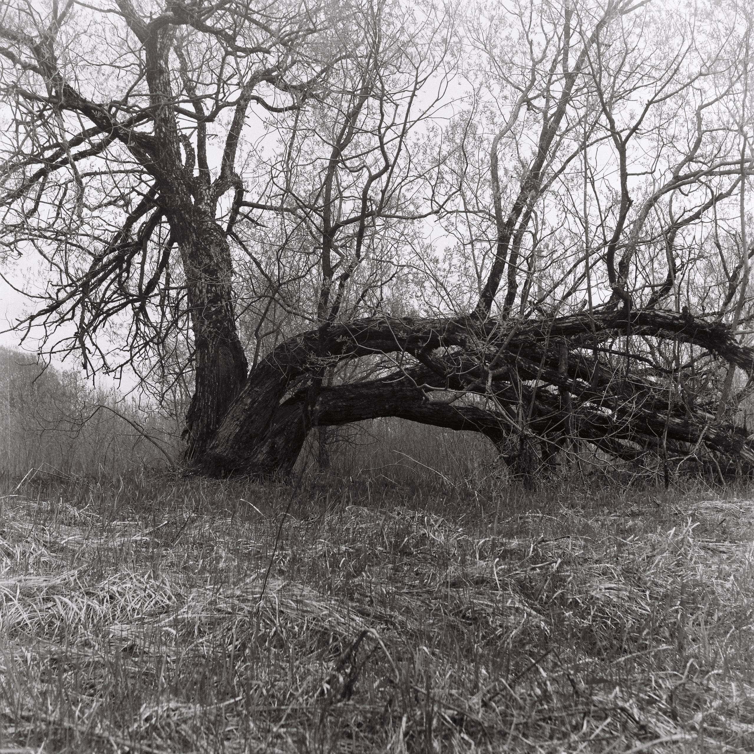 Bardo. Роман Ходырев — художник, фотограф, музыкант, эзотериолог. Санкт-Петербург, Рига