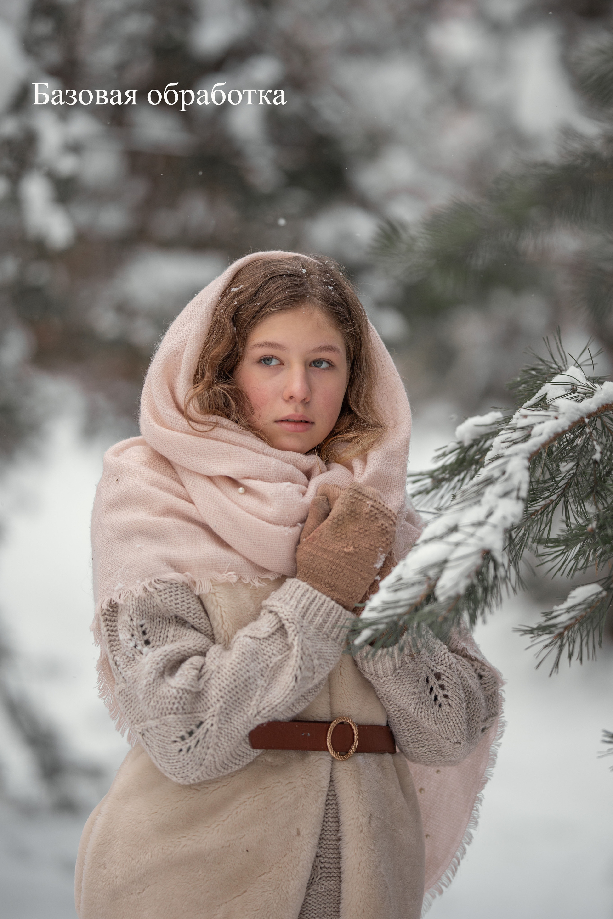 Услуги. Елена Чернигина семейный и детский фотограф в Нижнем Новгороде и Бор