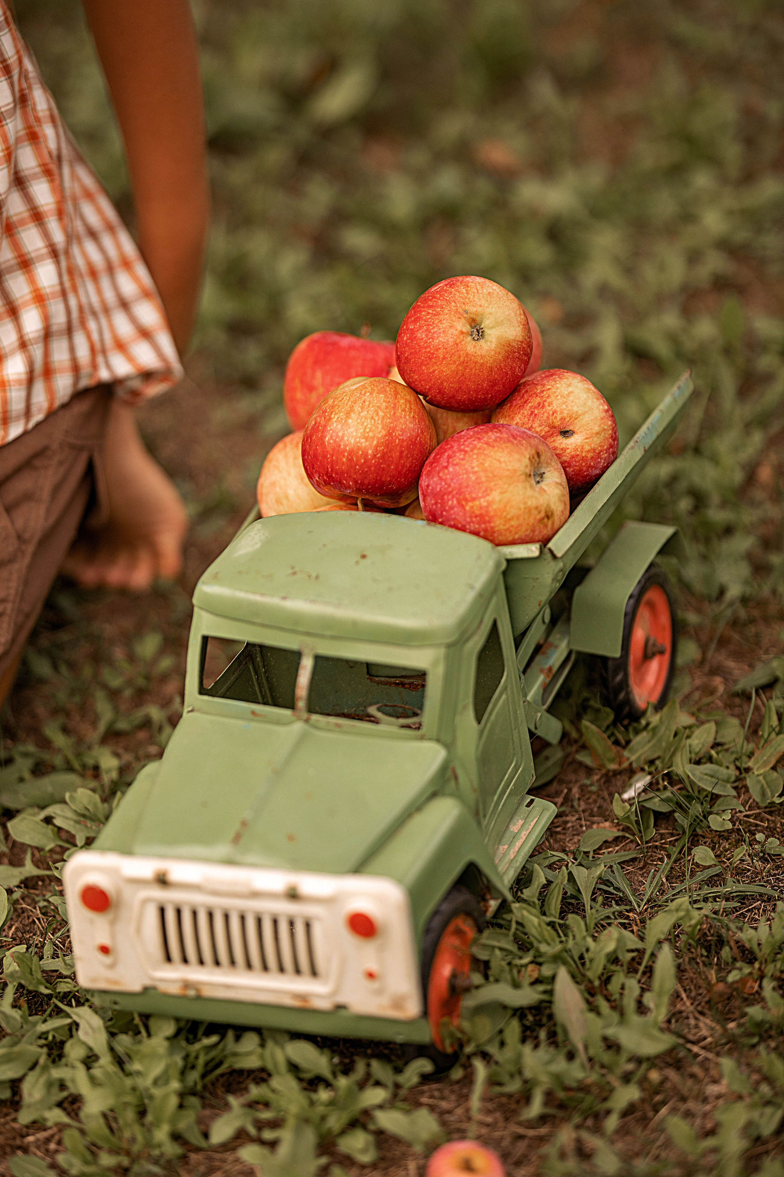 СЛАВА. Елена Чернигина семейный и детский фотограф в Нижнем Новгороде и Бор