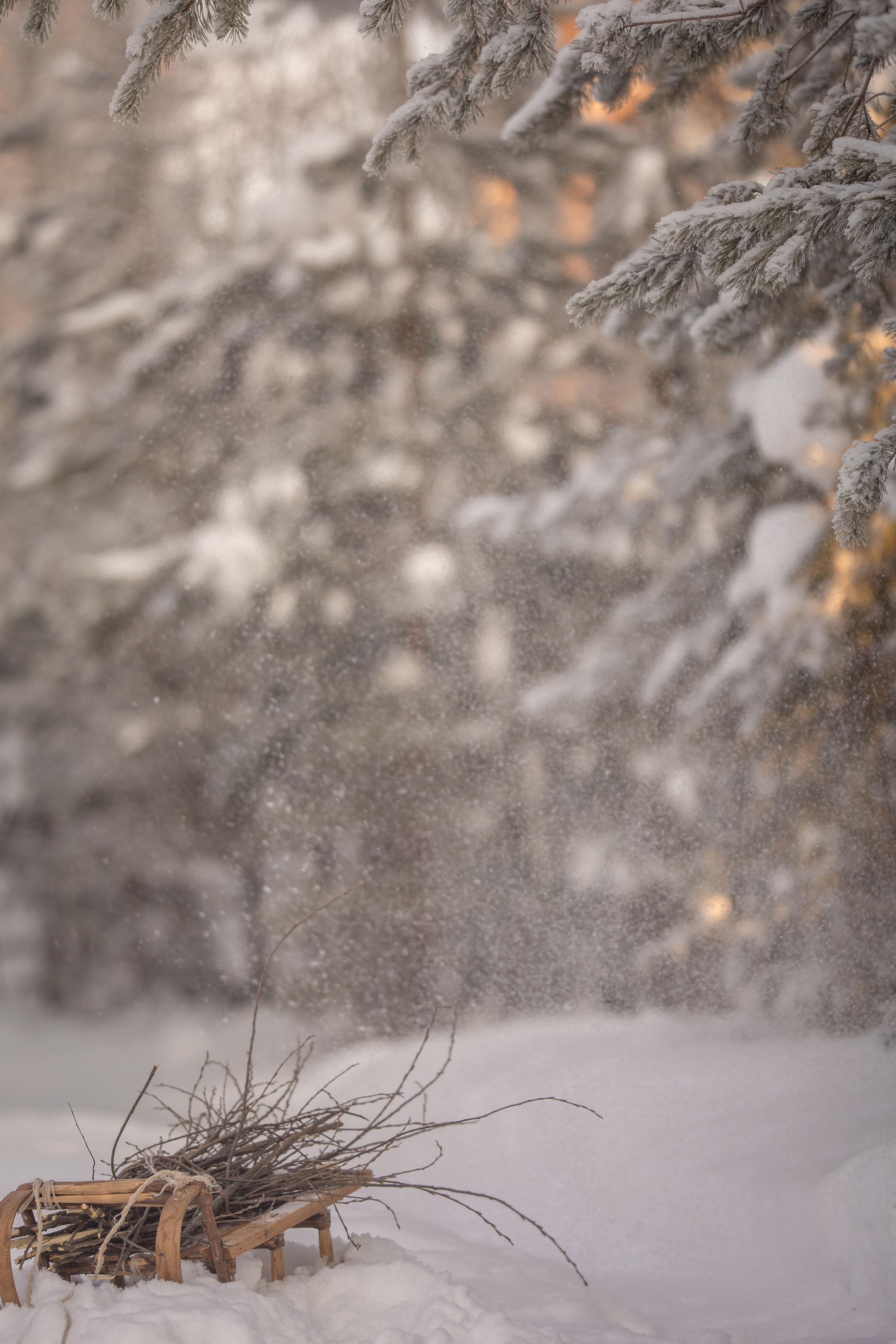 ФИЛИППОК. Елена Чернигина семейный и детский фотограф в Нижнем Новгороде и Бор