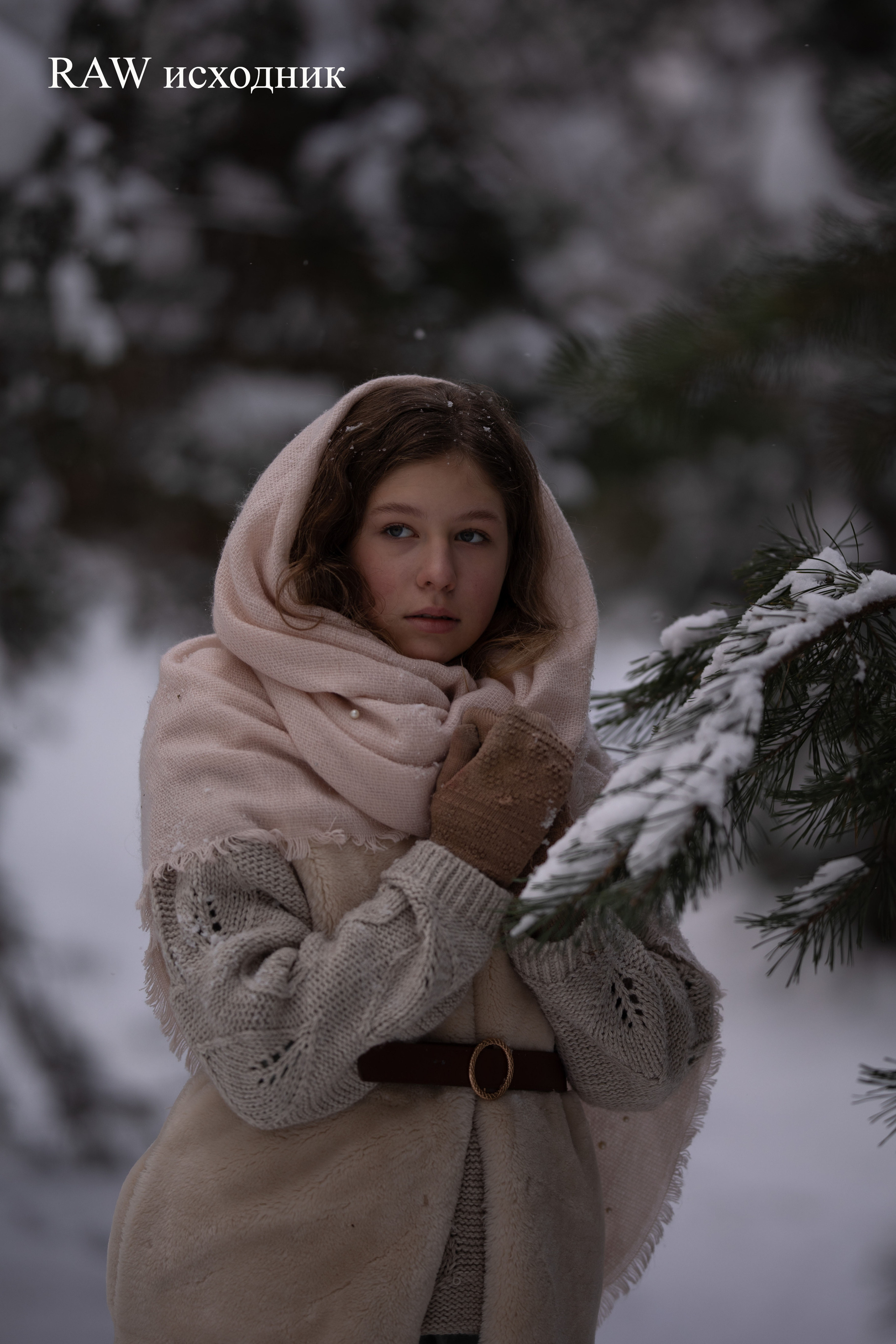 Услуги. Елена Чернигина семейный и детский фотограф в Нижнем Новгороде и Бор