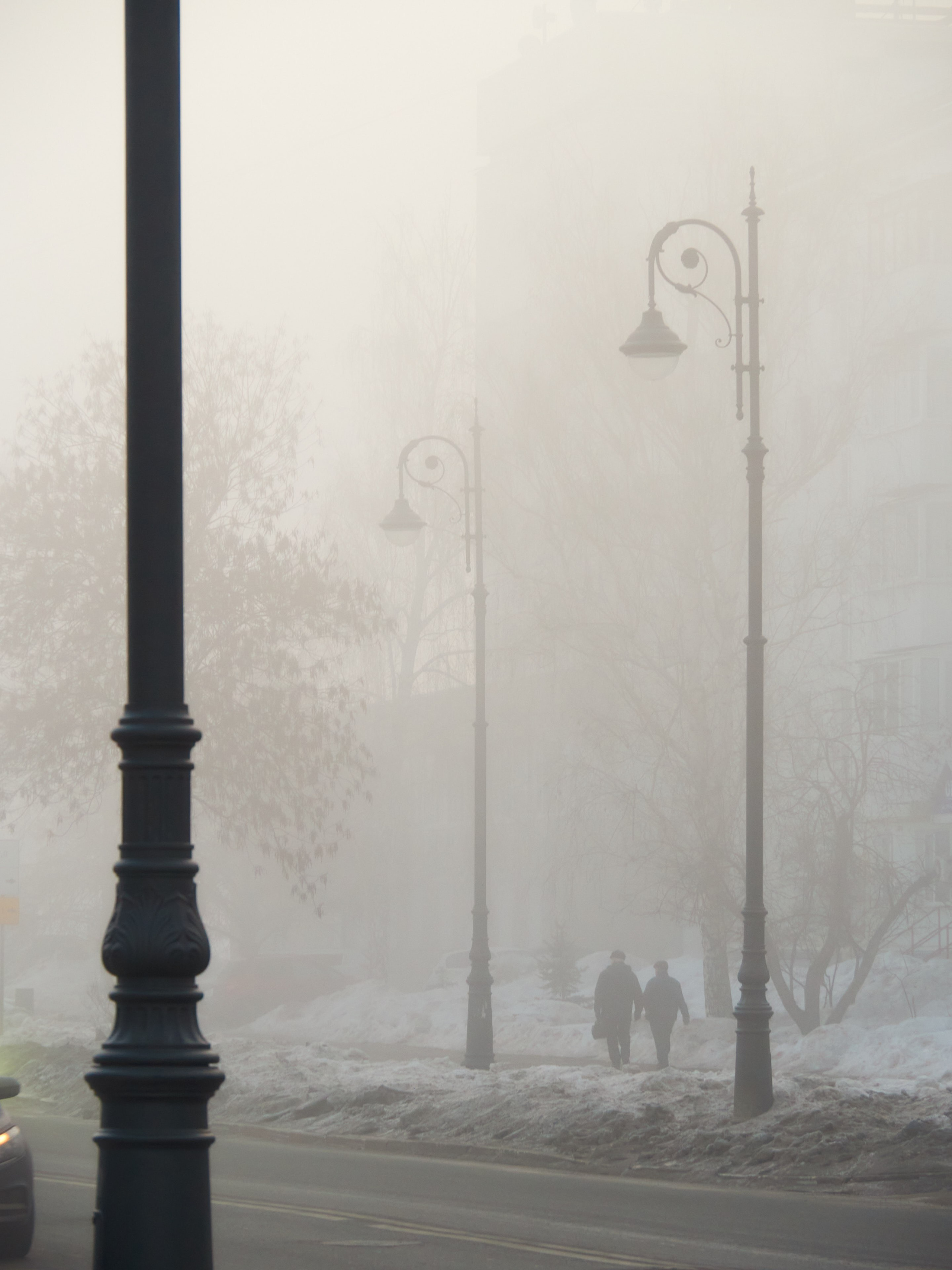 Фонарные столбы теряются в тумане