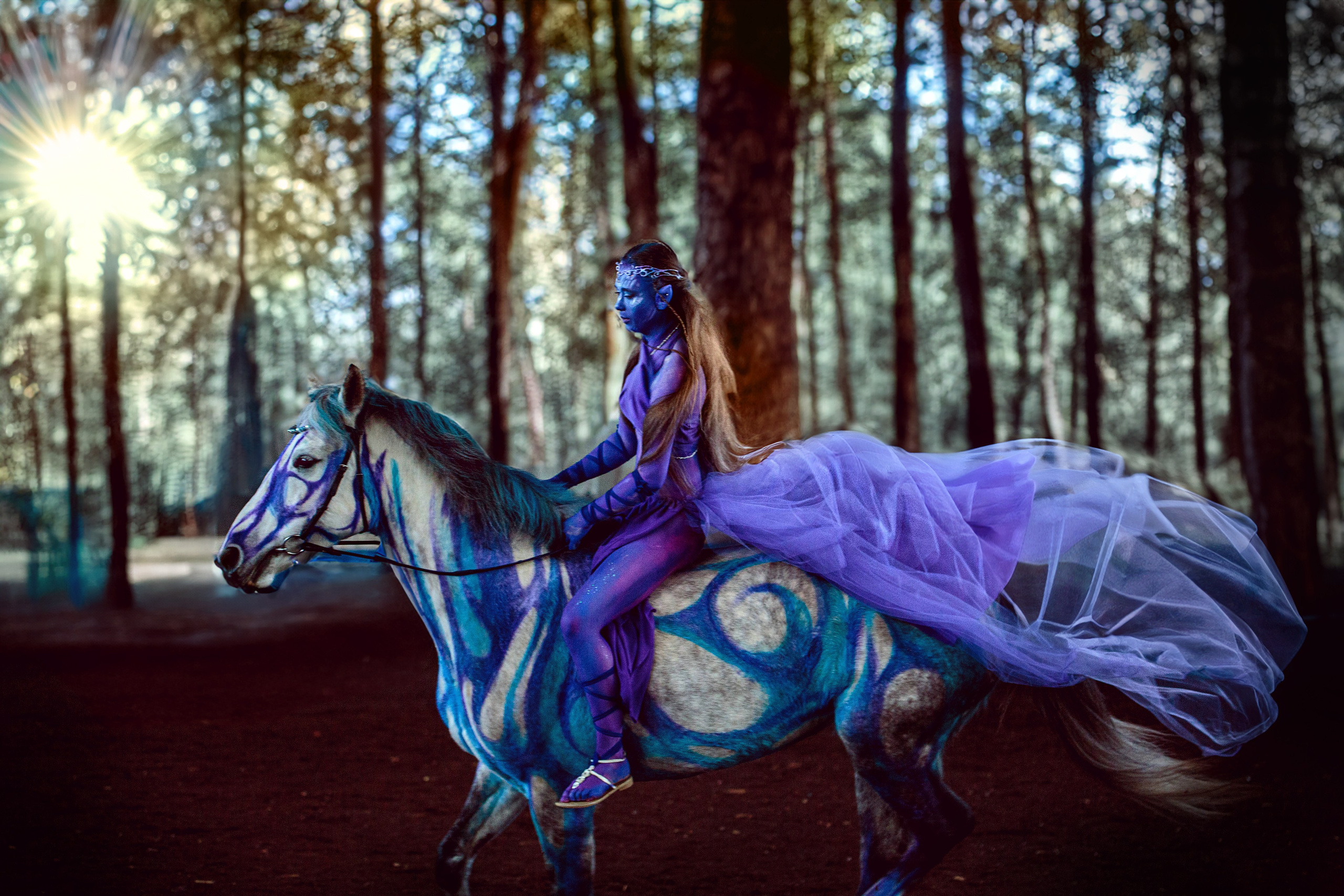 Аватар. Конный фотограф в Красноярске — Любовь Похабова