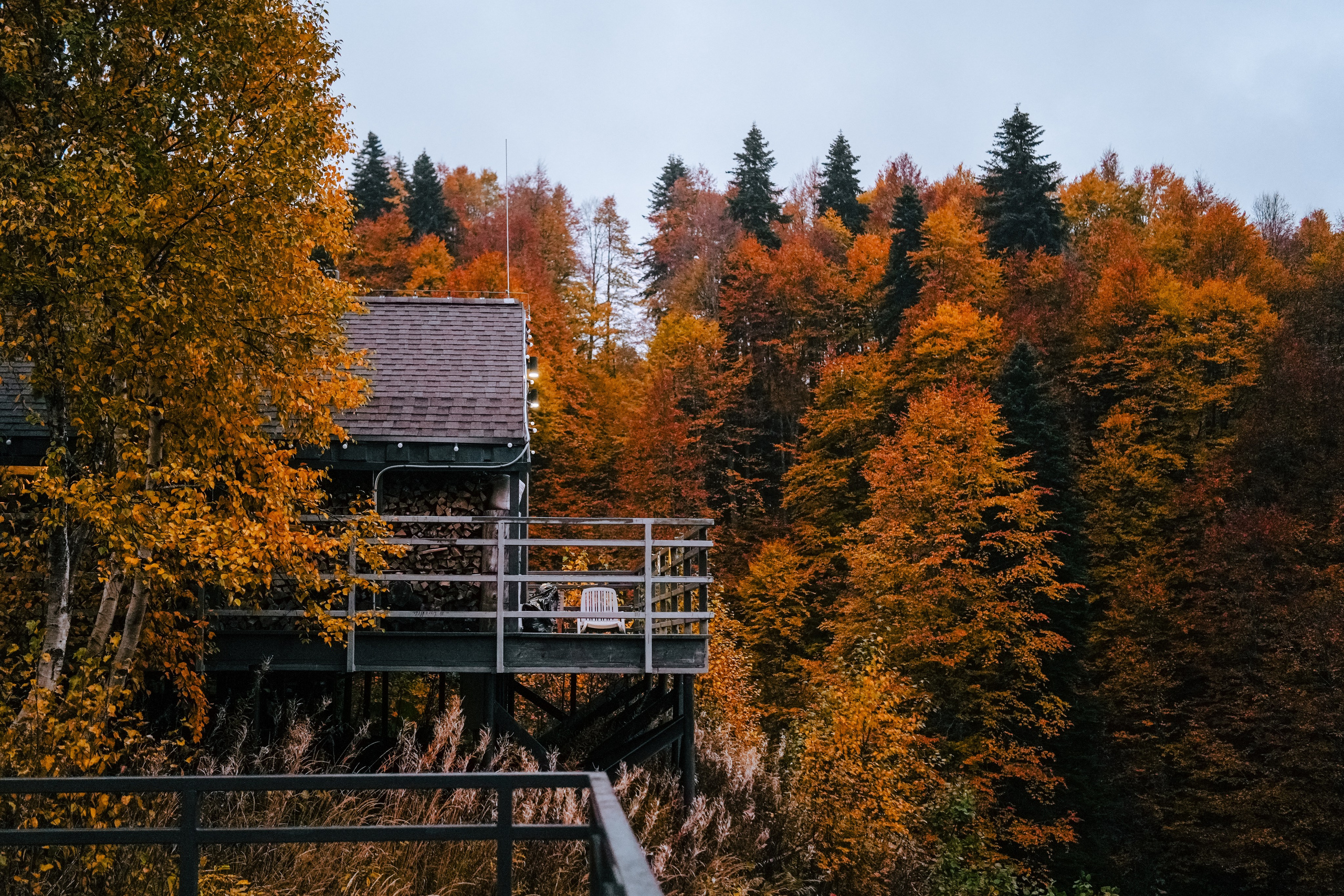Роза Пик, тропа Турья ✽ Октябрь. Репортажный фотограф | Роза Хутор Красная Поляна Сочи Сириус
