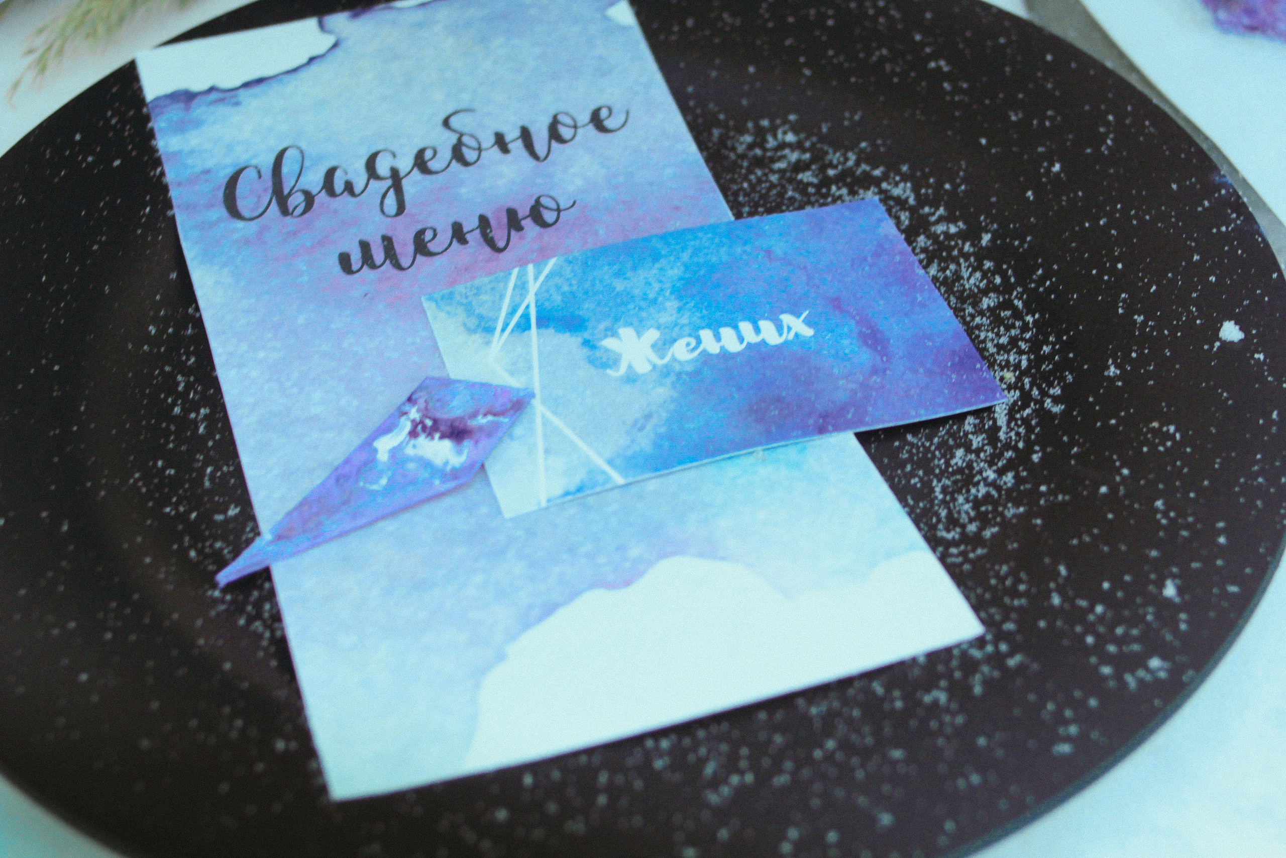 Александр и Полина. Организатор Романова Любовь