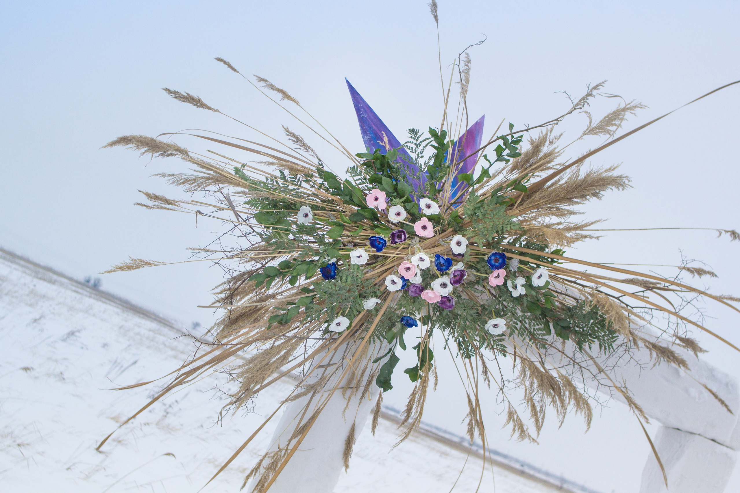 Александр и Полина. Организатор Романова Любовь