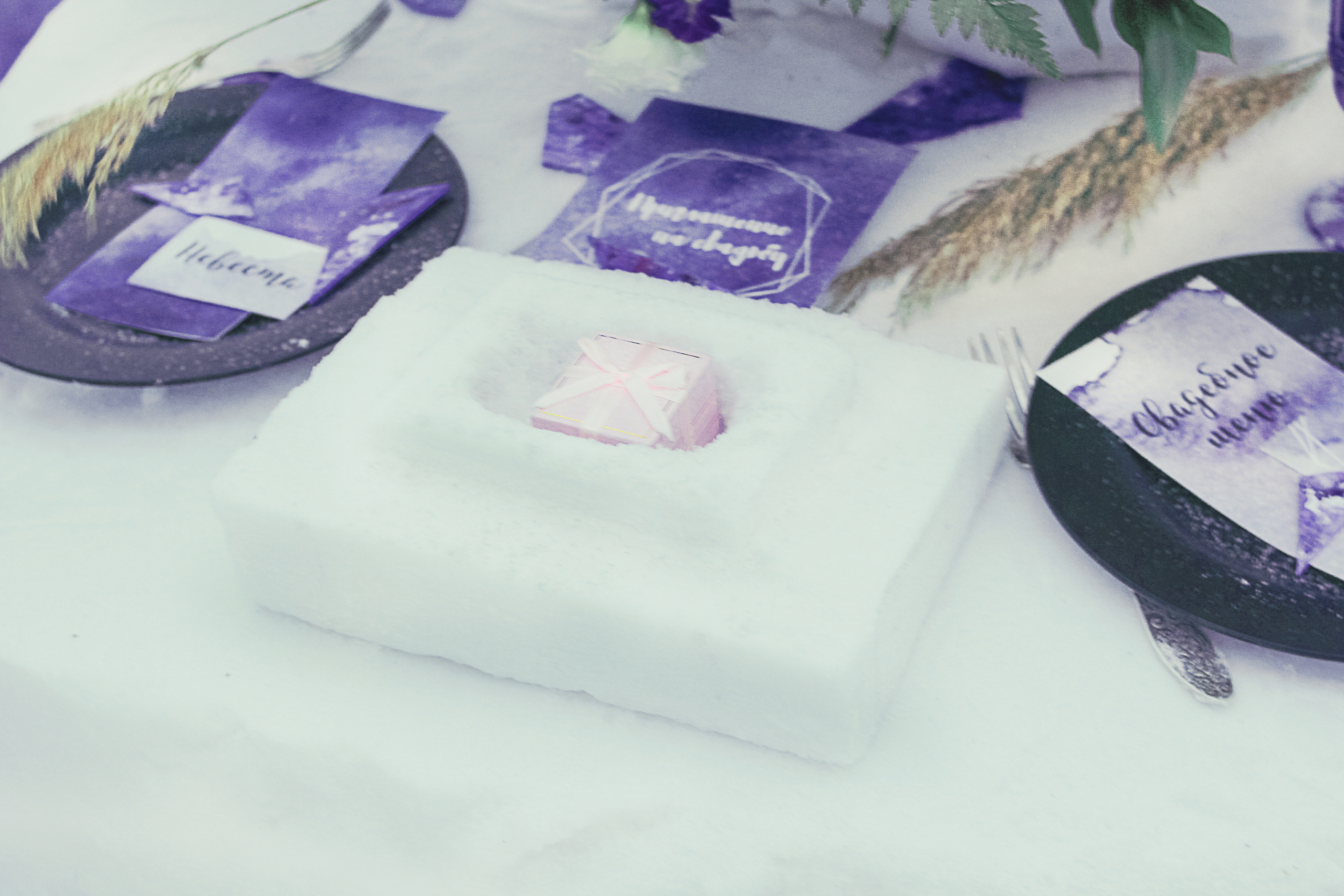 Александр и Полина. Организатор Романова Любовь