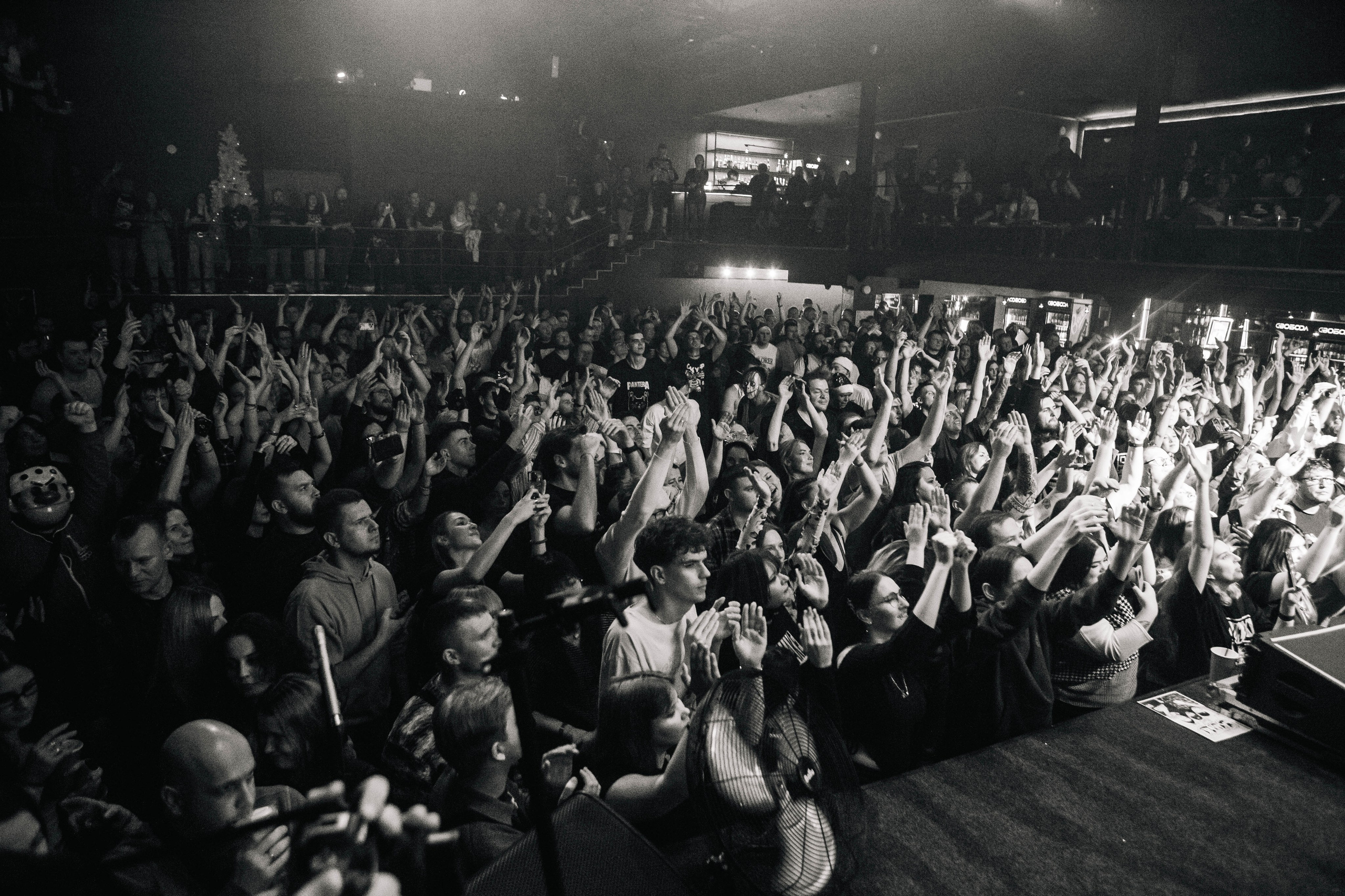 СКОТЫ 20.12.2025. Репортажный и портретный фотограф Михаил Мартиросян