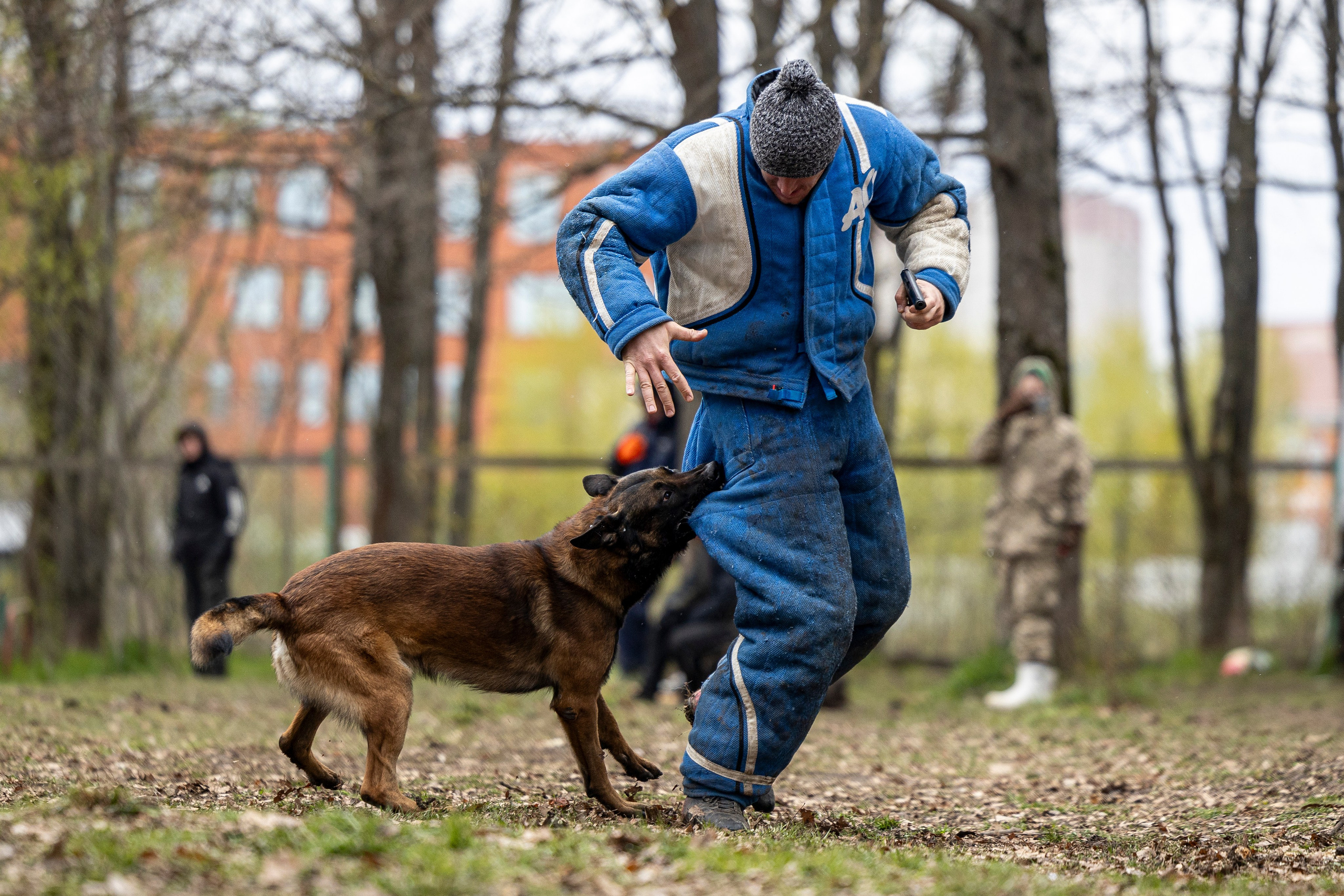 Квалификационные состязания по мондьорингу г. Вологда 11.05.24. Фотограф-анималист Анна Маринич