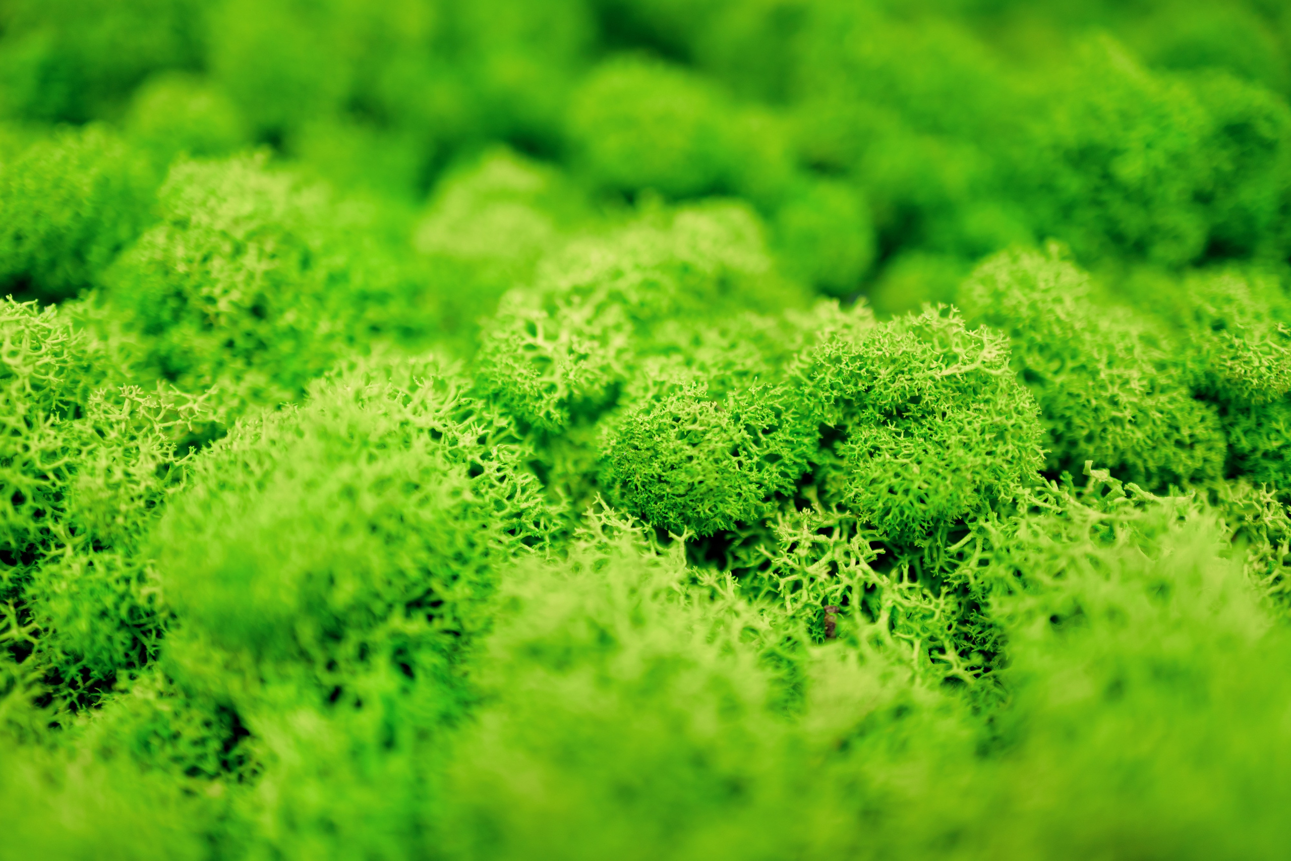 Выставочная фотосъемка компании «Росатом» mims automobility moscow 2025. Репортажный фотограф Семён Борисов | Москва