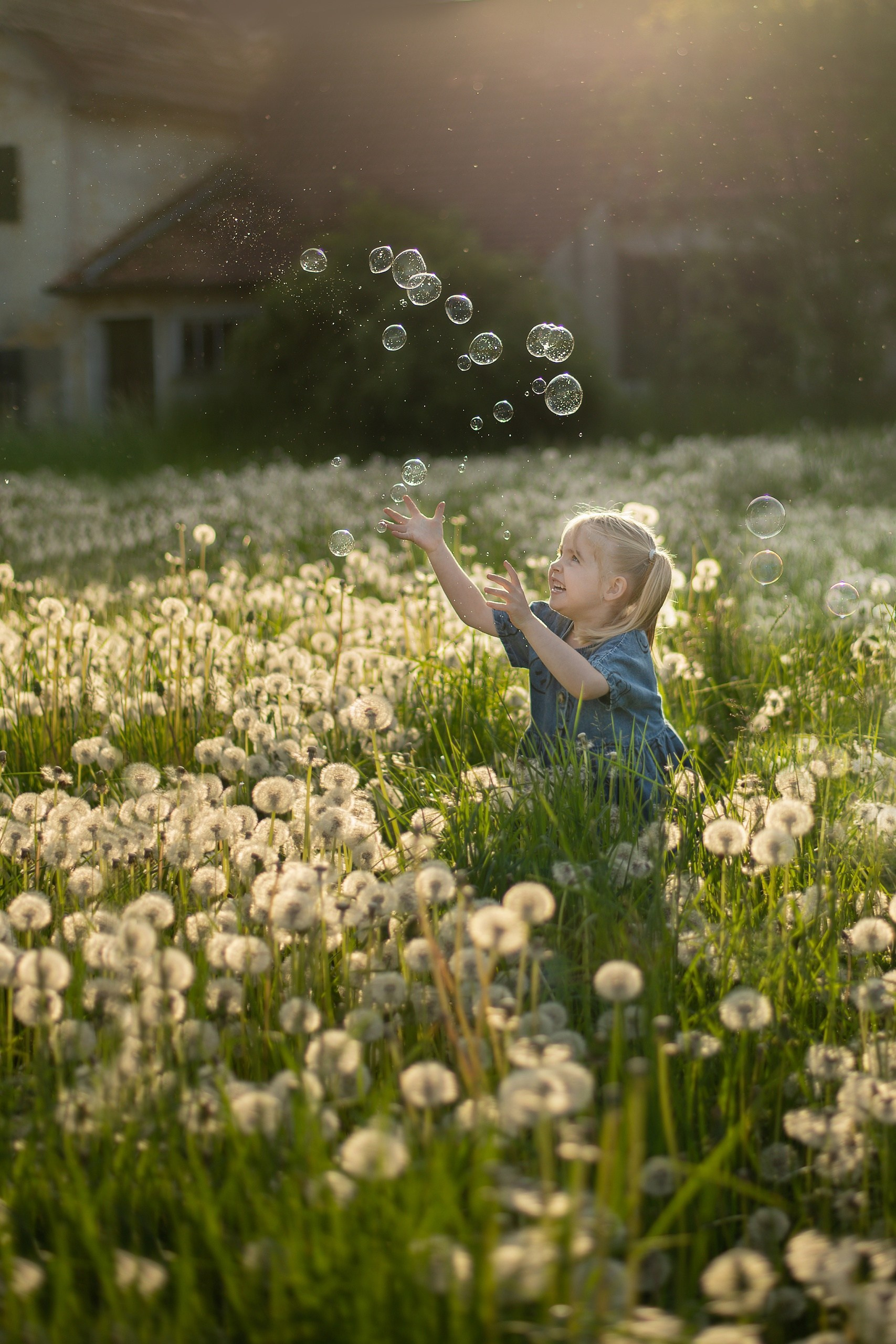 До/после ученики (вебинар). Наталья Рапопорт. Онлайн-курсы по фотографии и съемке видео