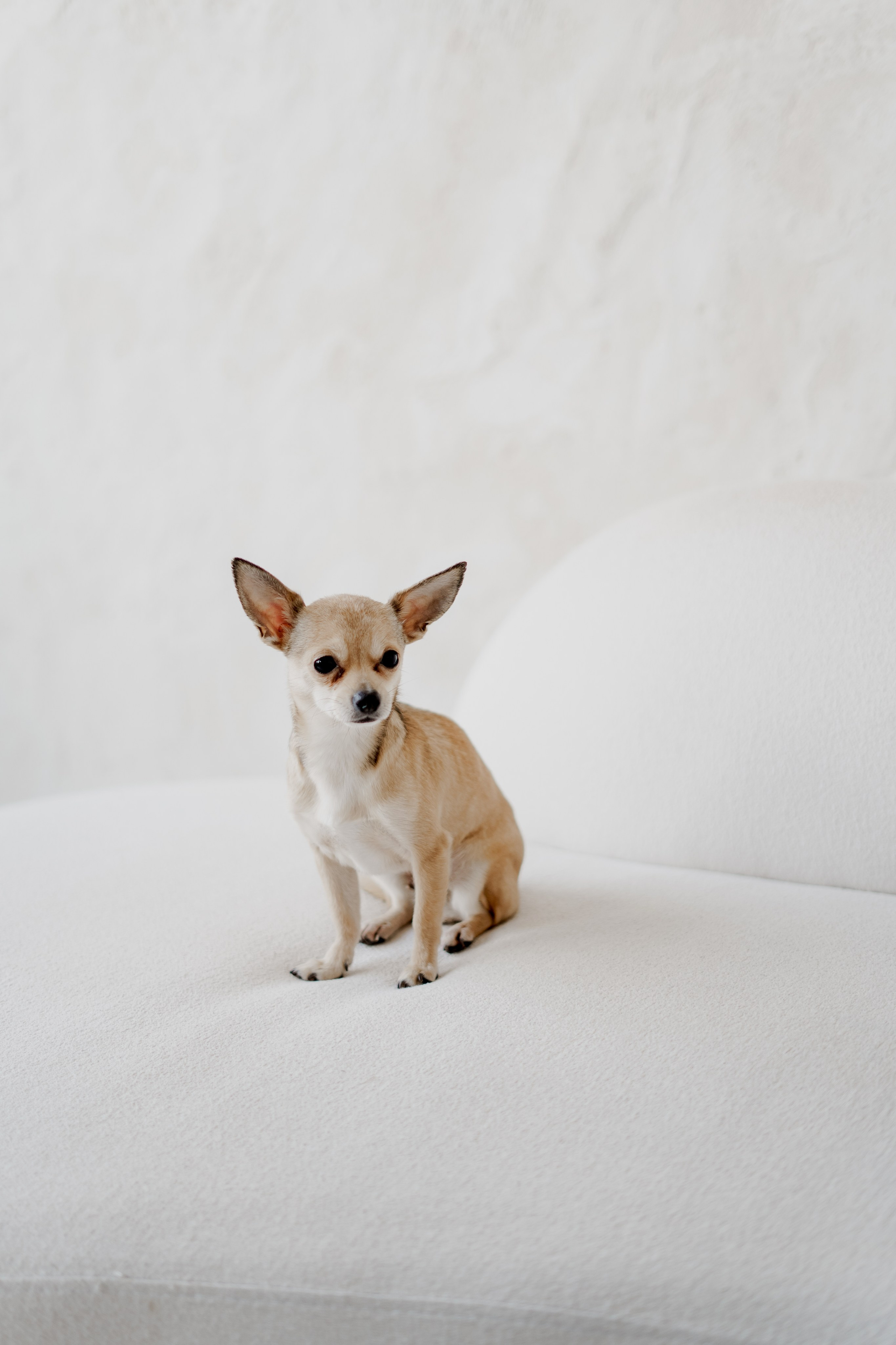 Ксюша. Фотограф Валерия Крахмалева