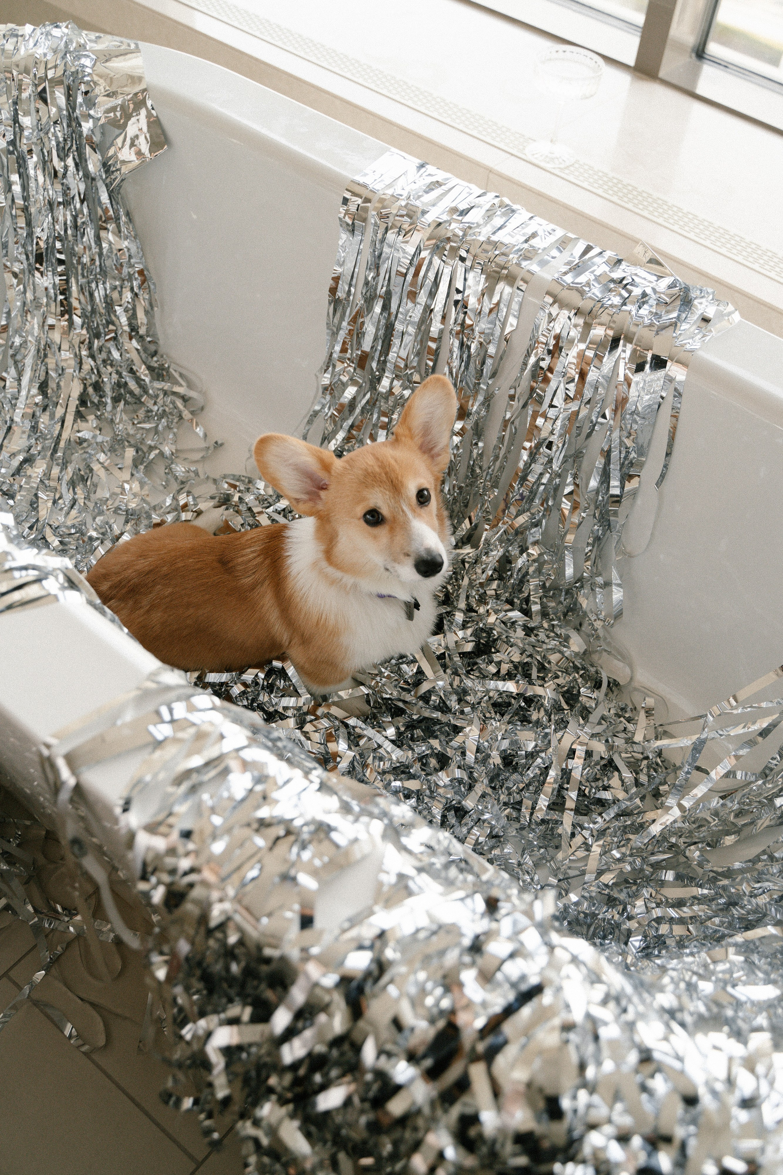 Вегас. Главная