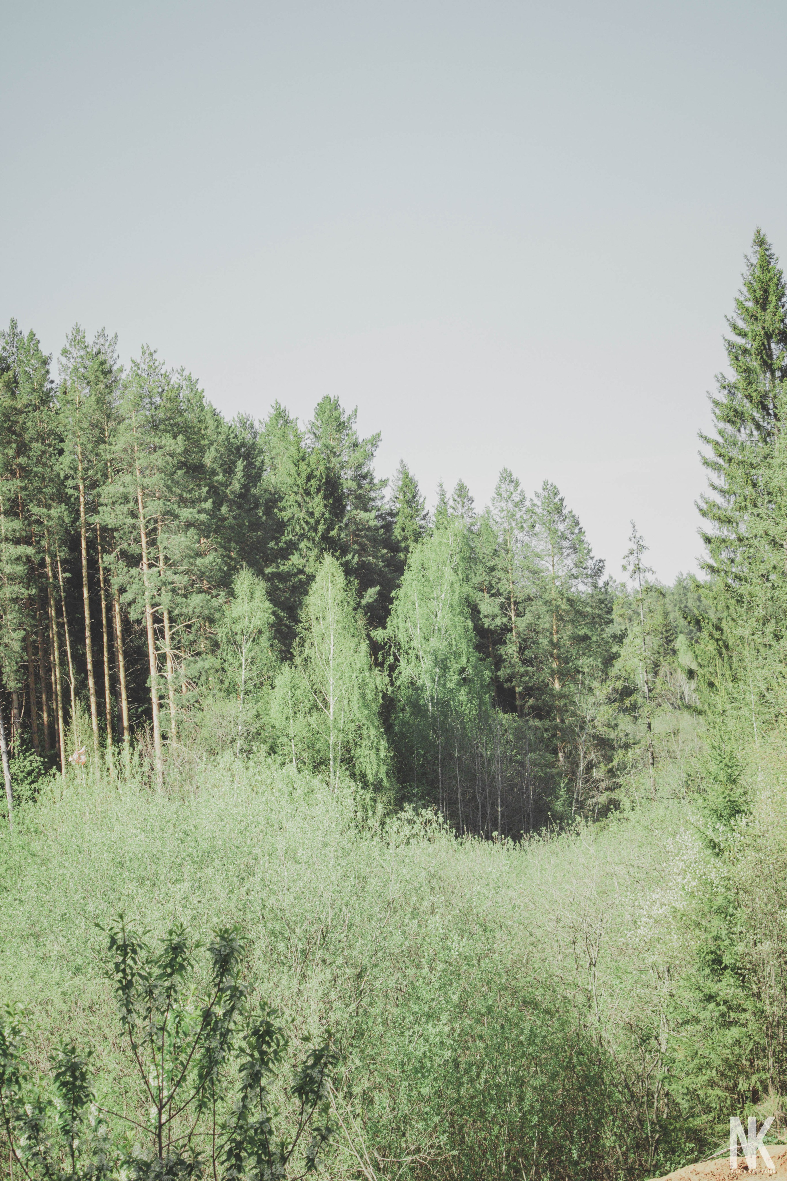 Саша. Фотосессия в лесу. Касаткин Никита. Фотограф