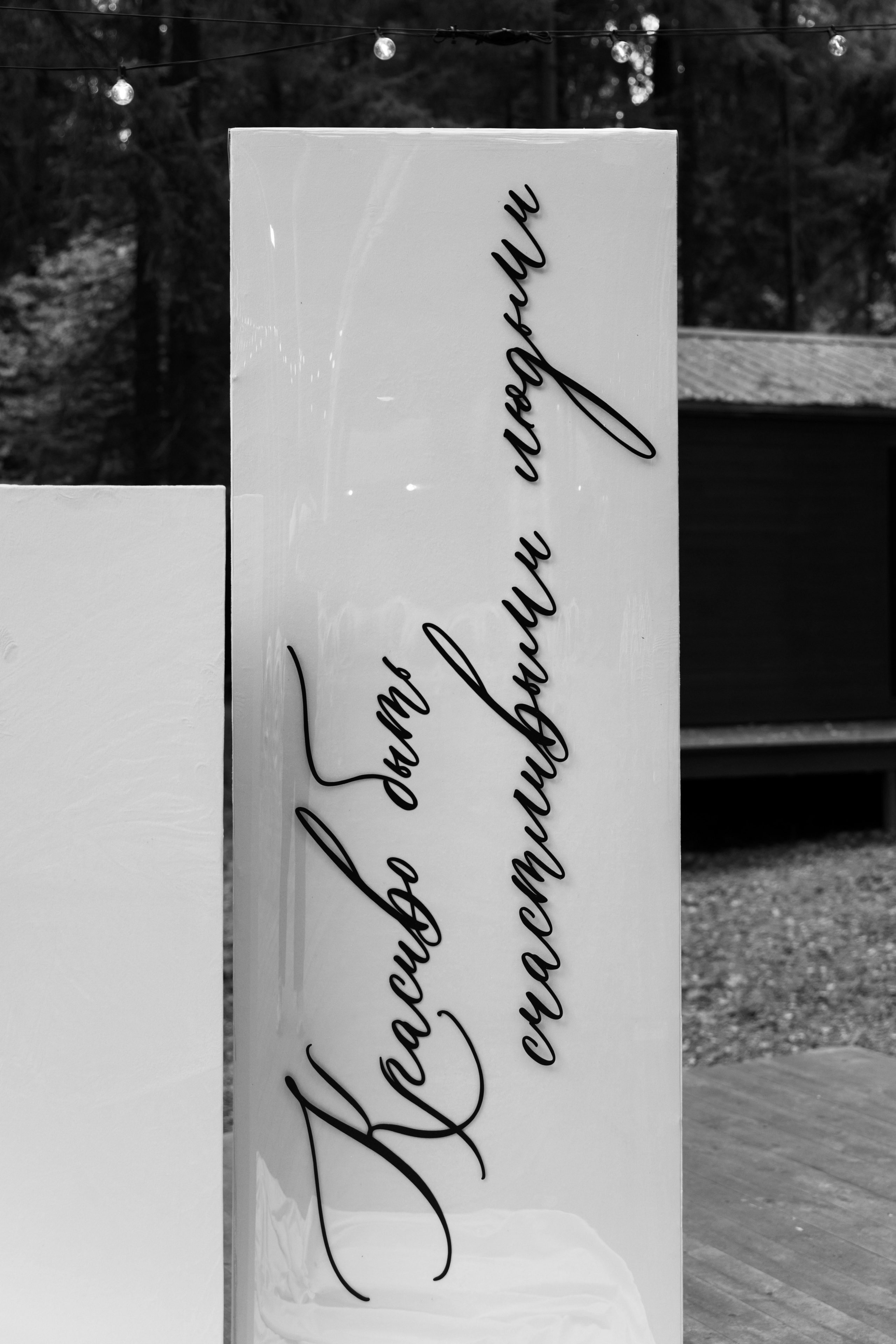 Павел и Арина. Свадебный фотограф Дарья Свет