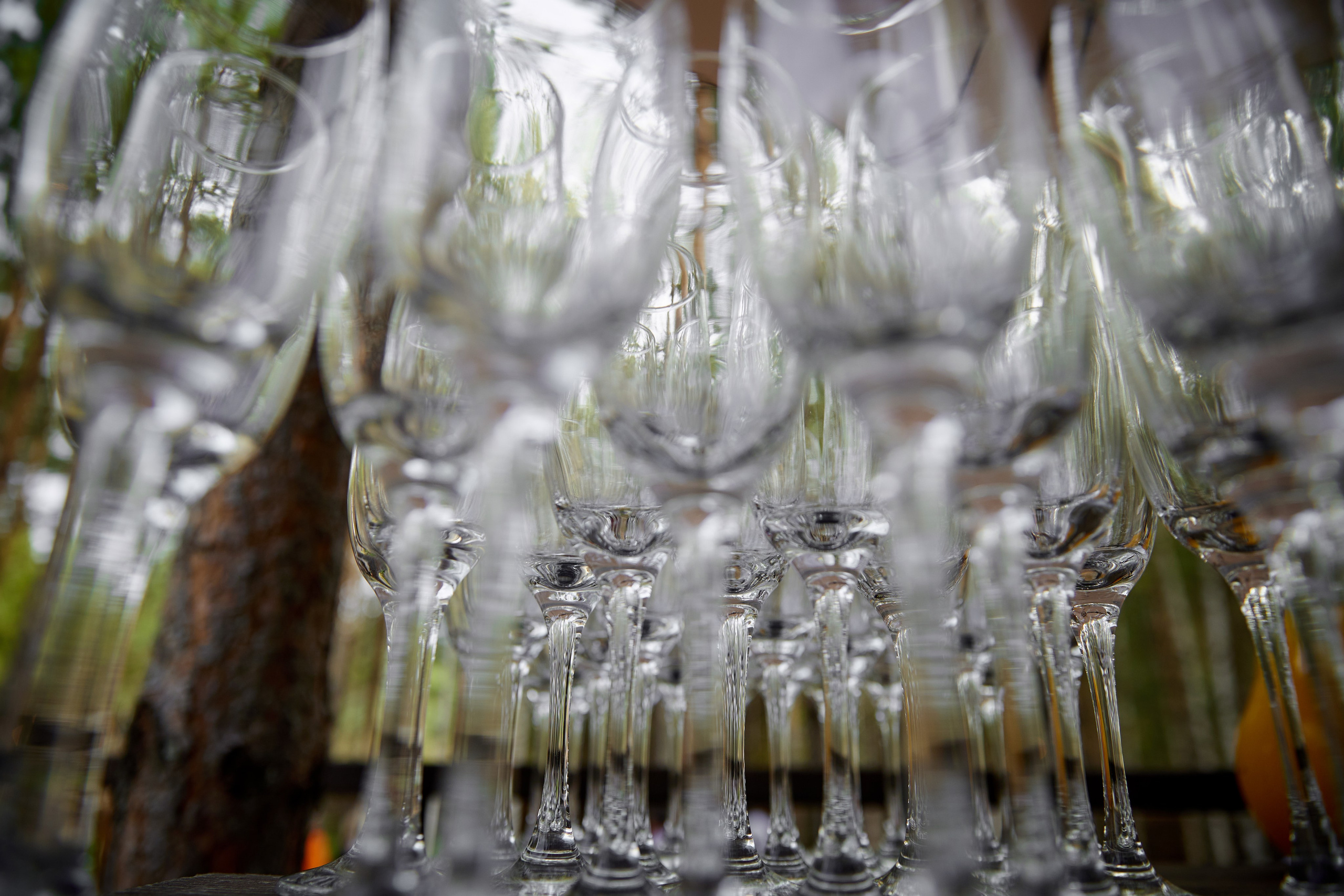 E&K. Профессиональный фотограф Светлана Писарева